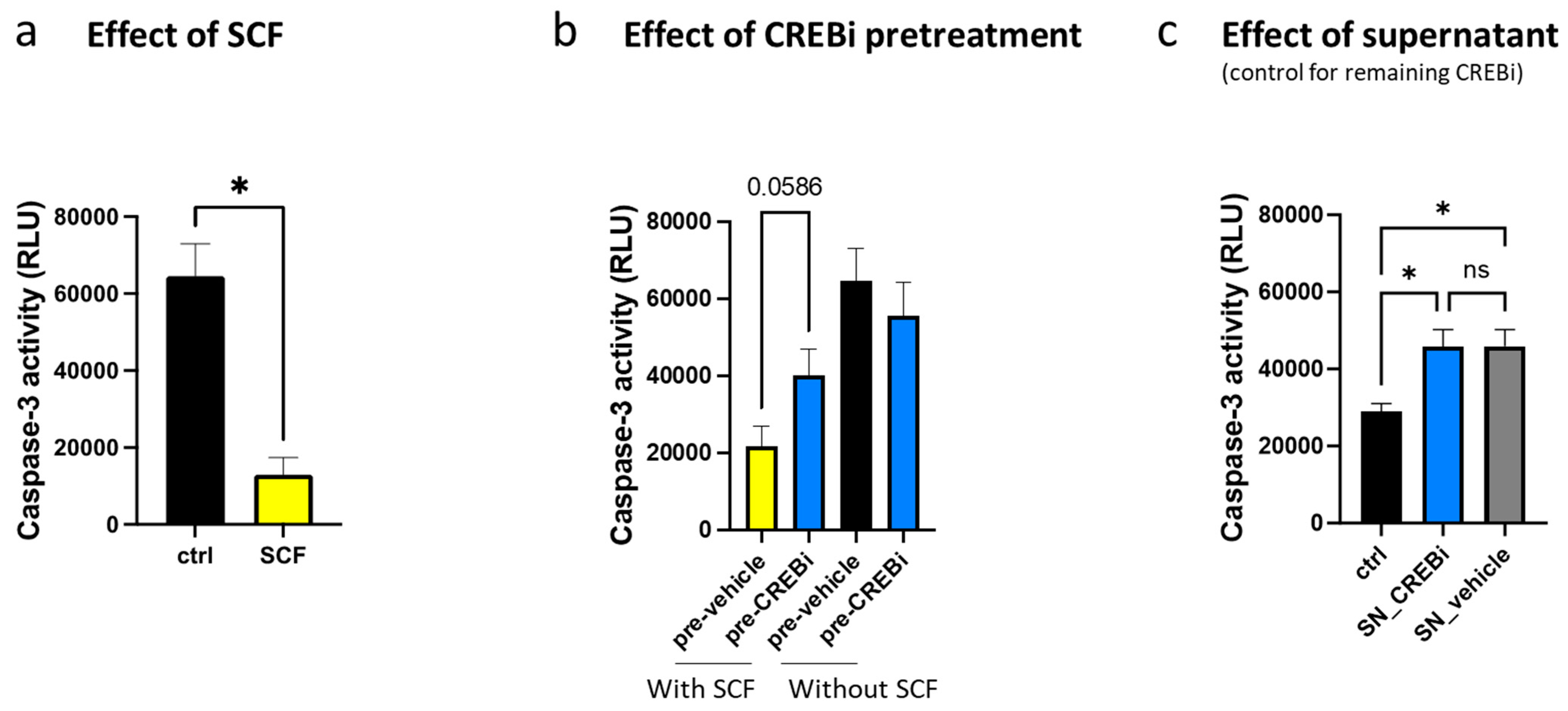 Cells 13 00042 g004 Cells 13 00042 g004