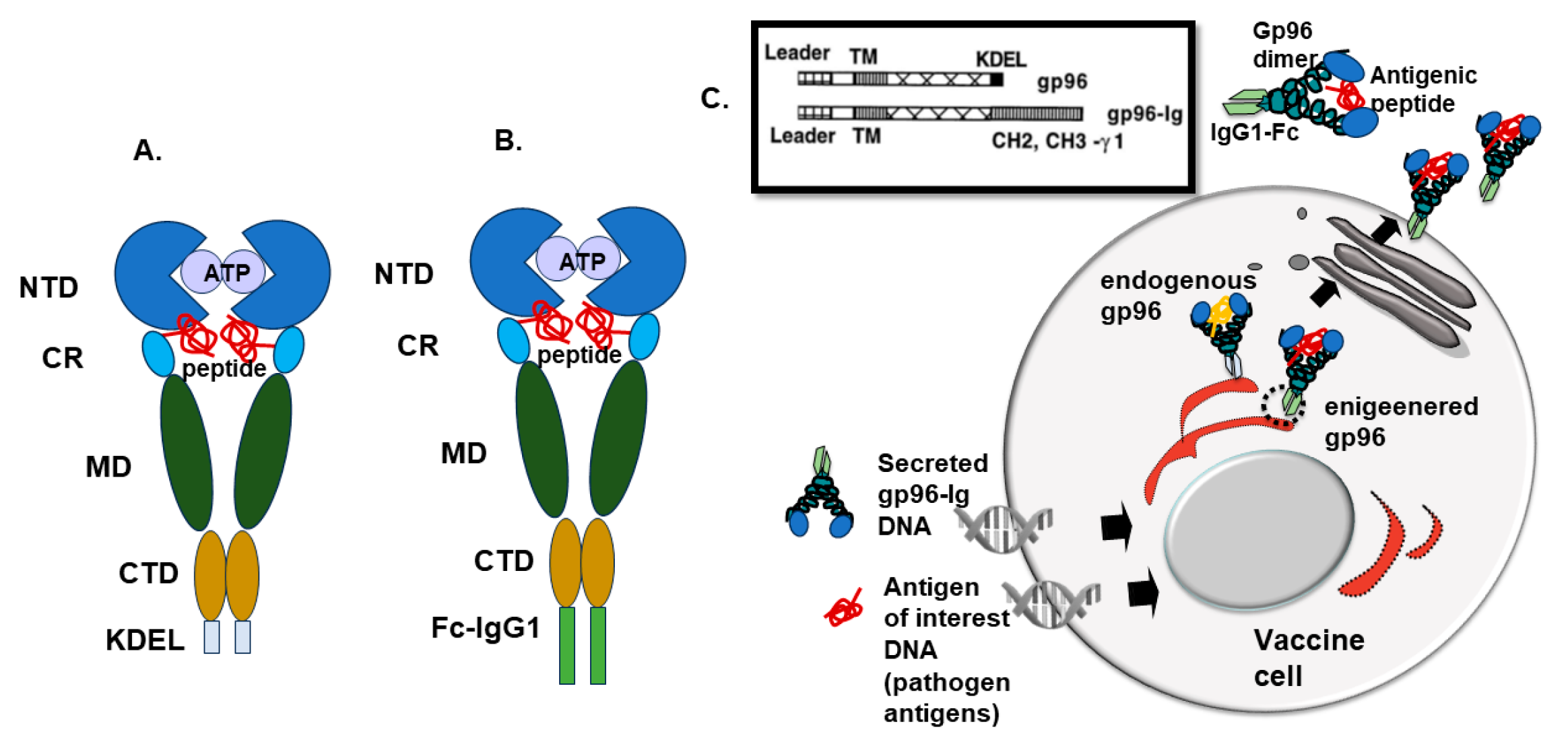 Cells 13 00072 g001 Cells 13 00072 g001