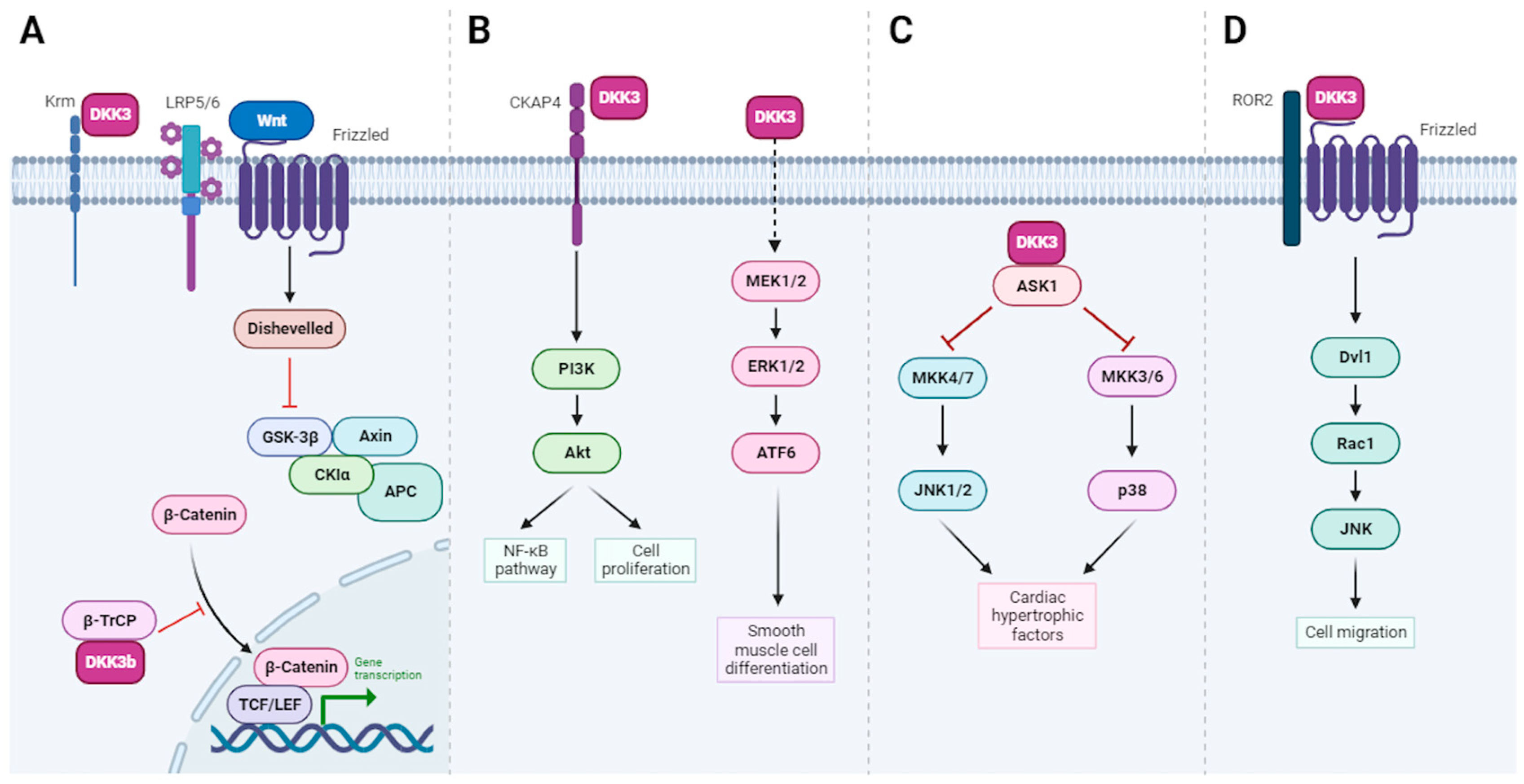 Cells 13 00075 g003 Cells 13 00075 g003