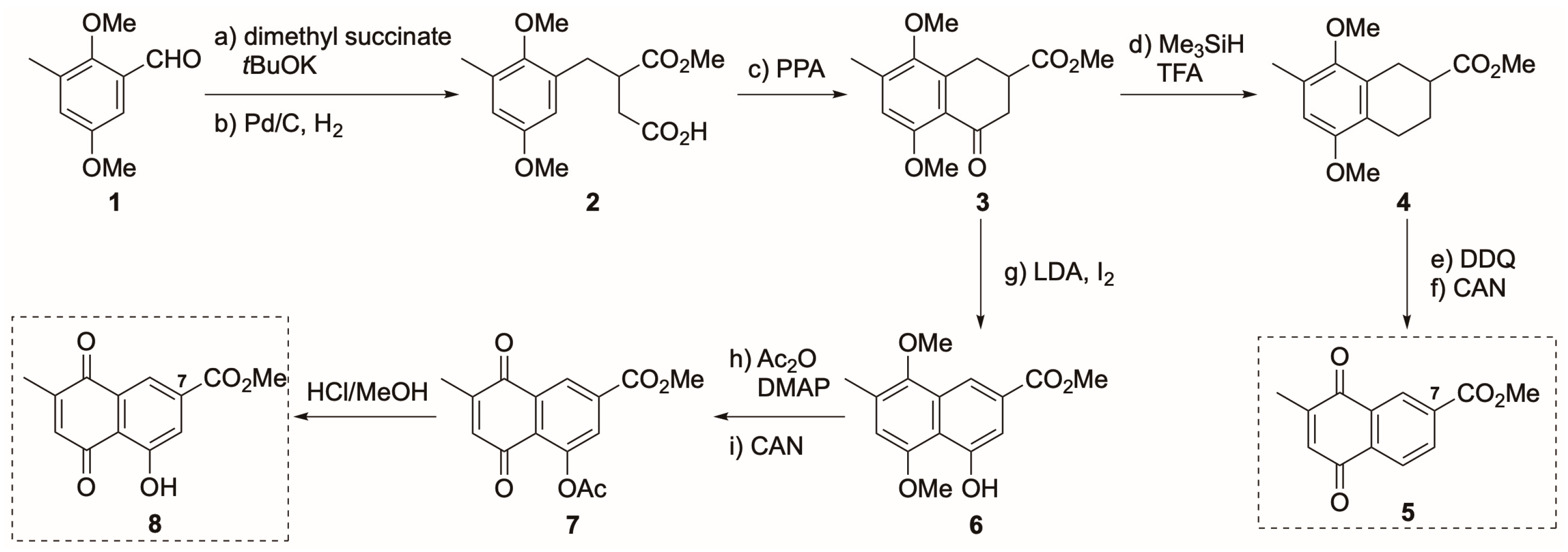 Cells 13 00087 sch001