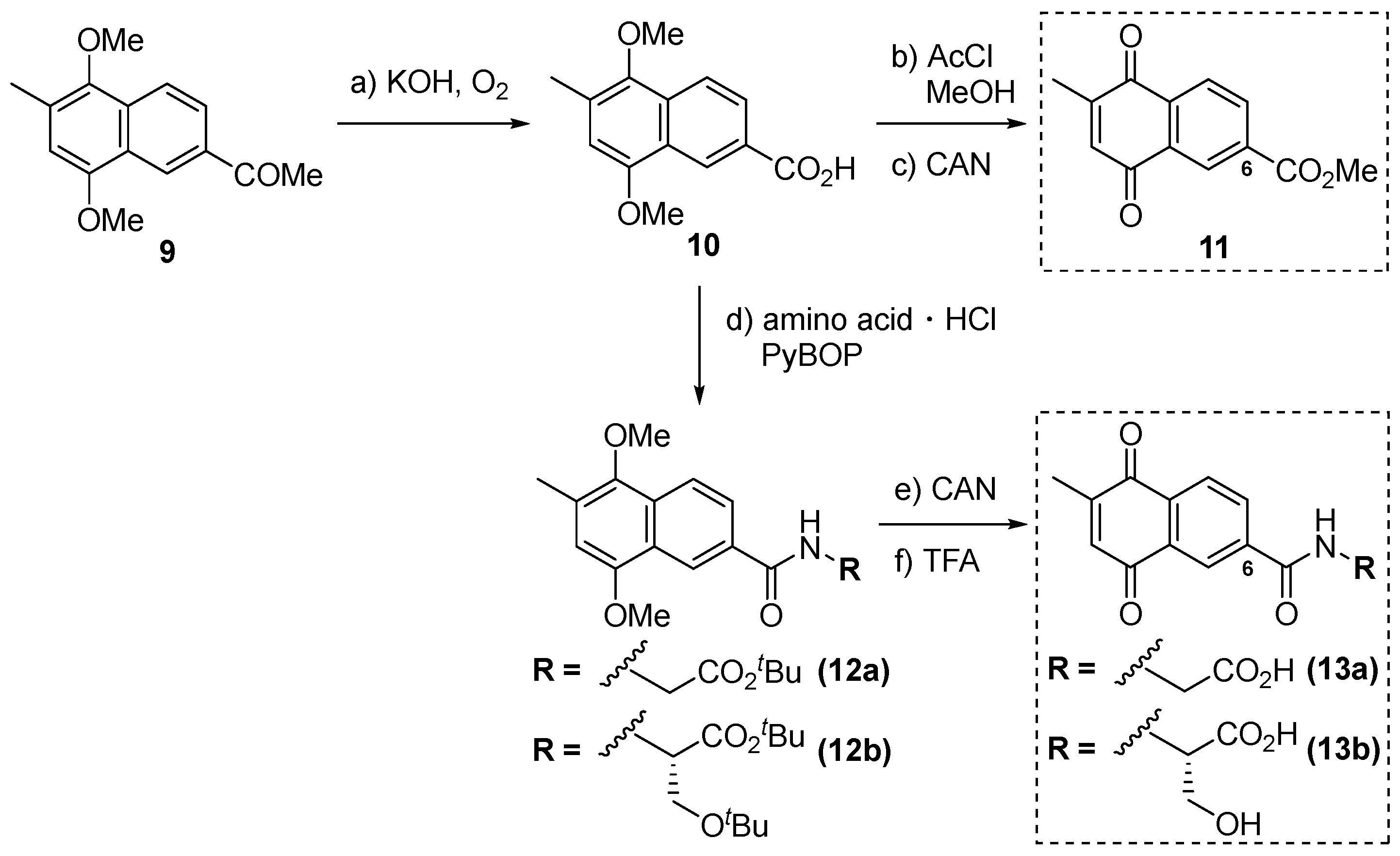 Cells 13 00087 sch002