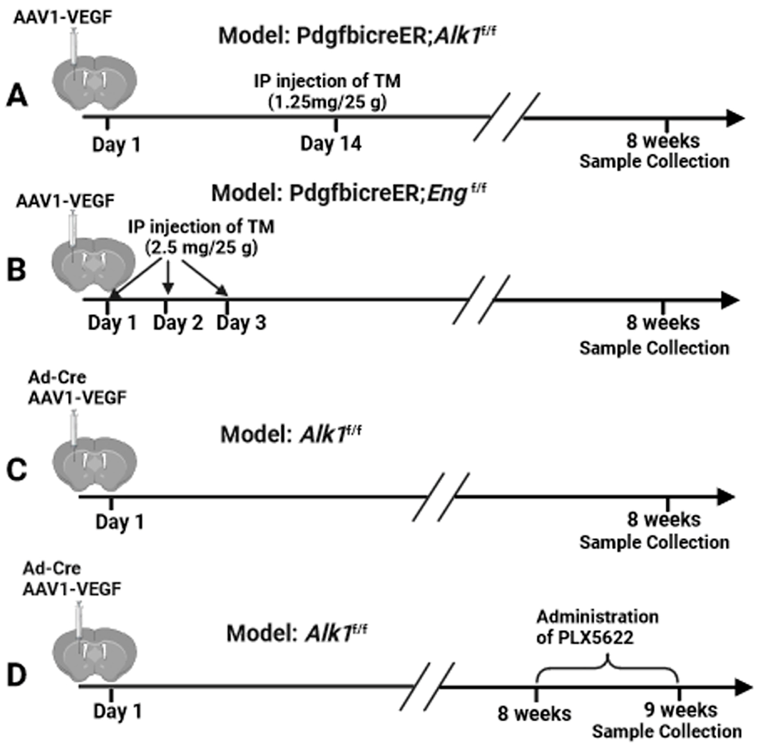 Cells 13 00092 g001 Cells 13 00092 g001
