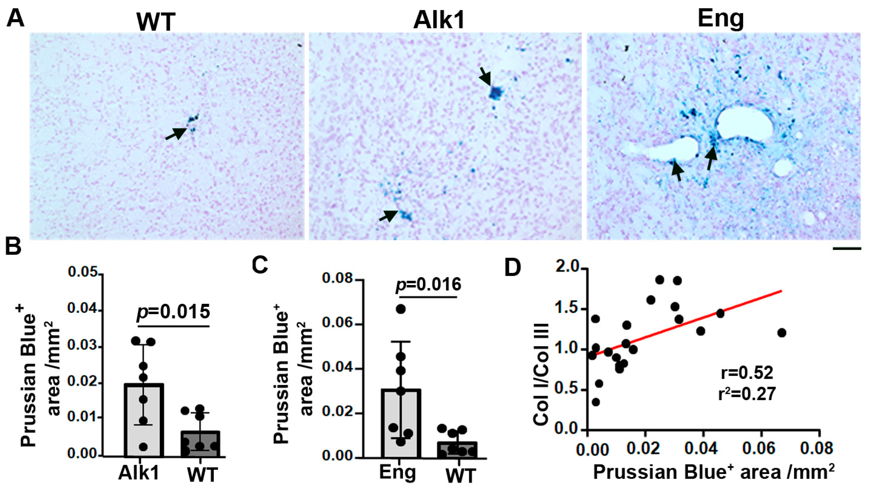Cells 13 00092 g004 Cells 13 00092 g004