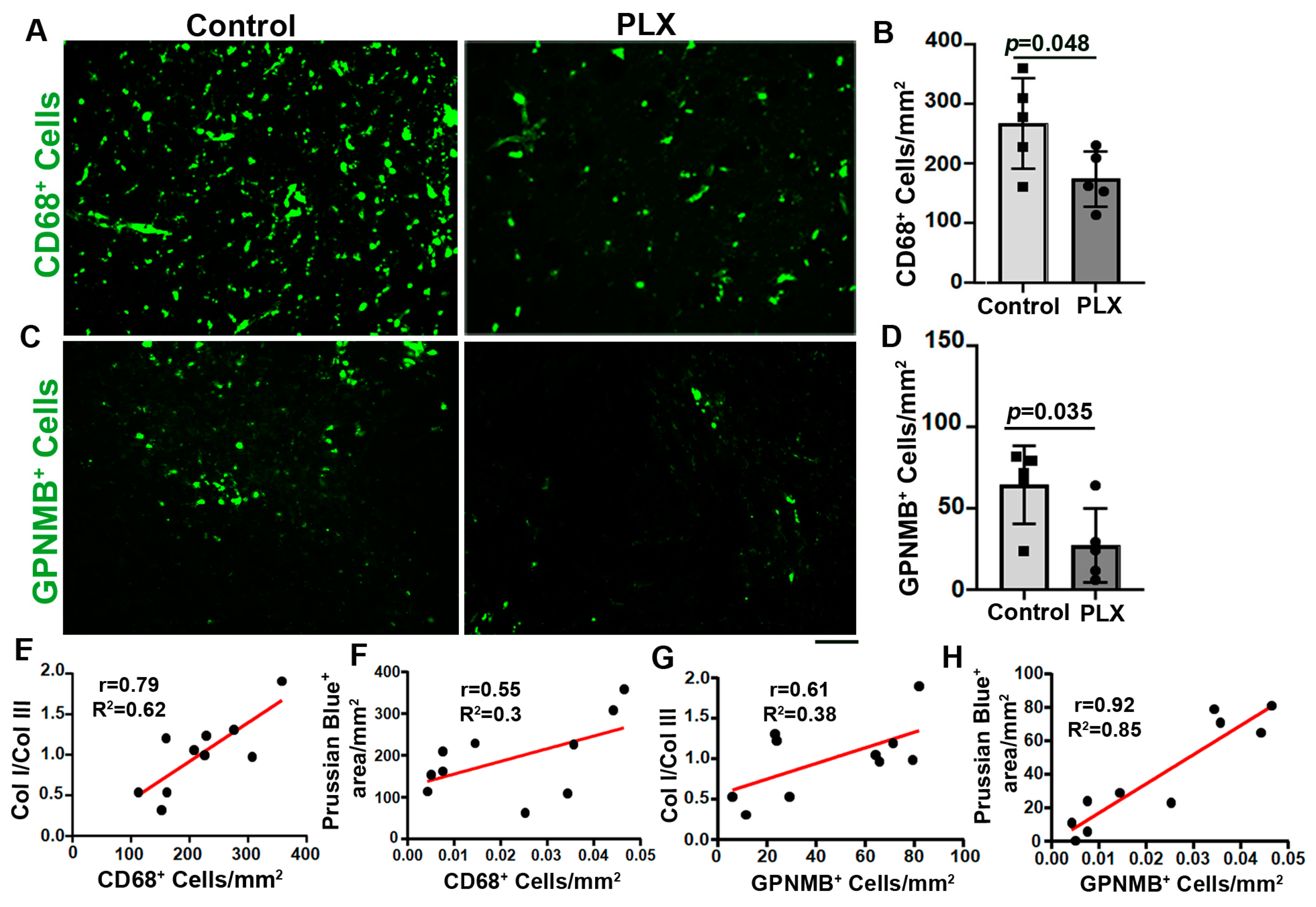 Cells 13 00092 g006 Cells 13 00092 g006