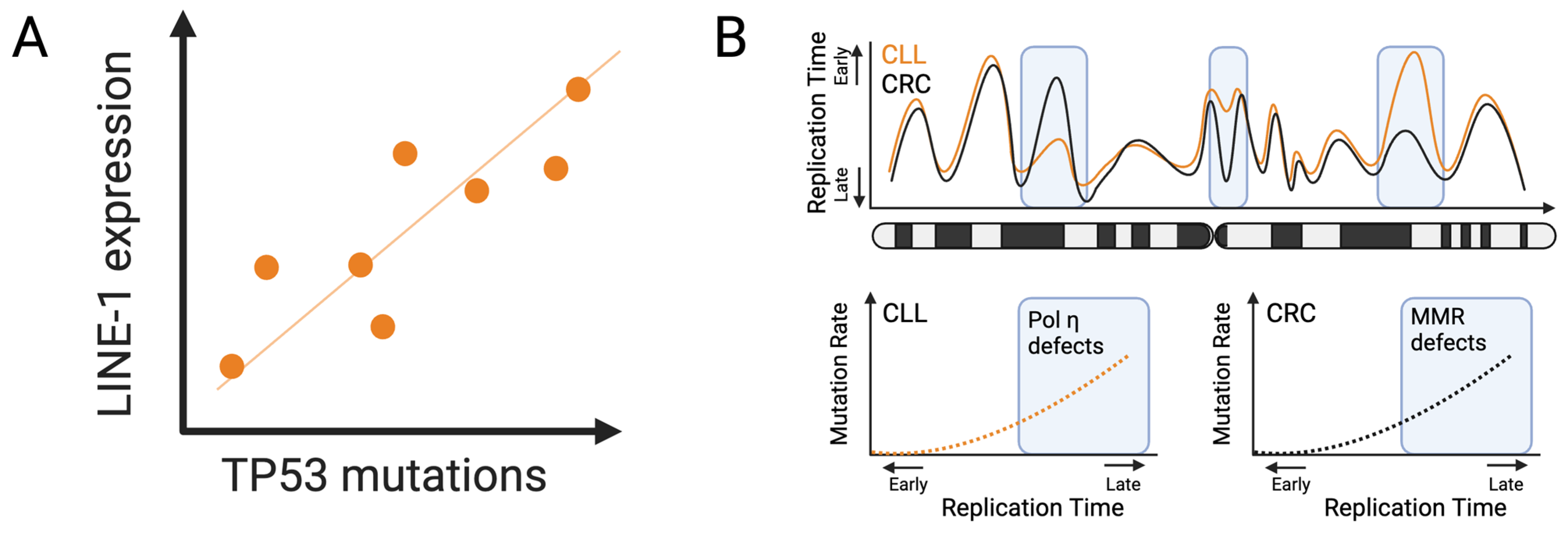 Cells 13 00106 g004 Cells 13 00106 g004