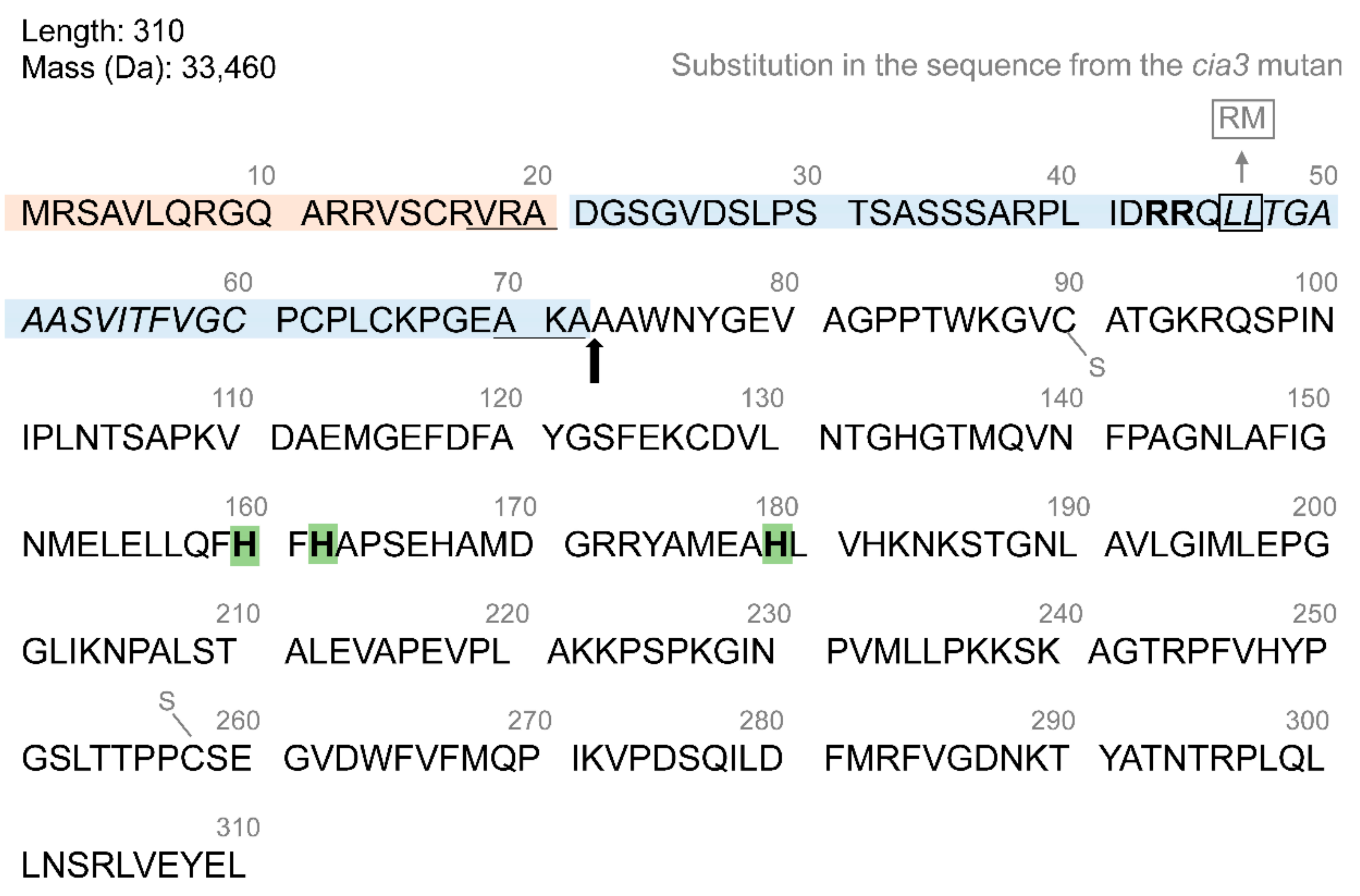 Cells 13 00109 g001 Cells 13 00109 g001