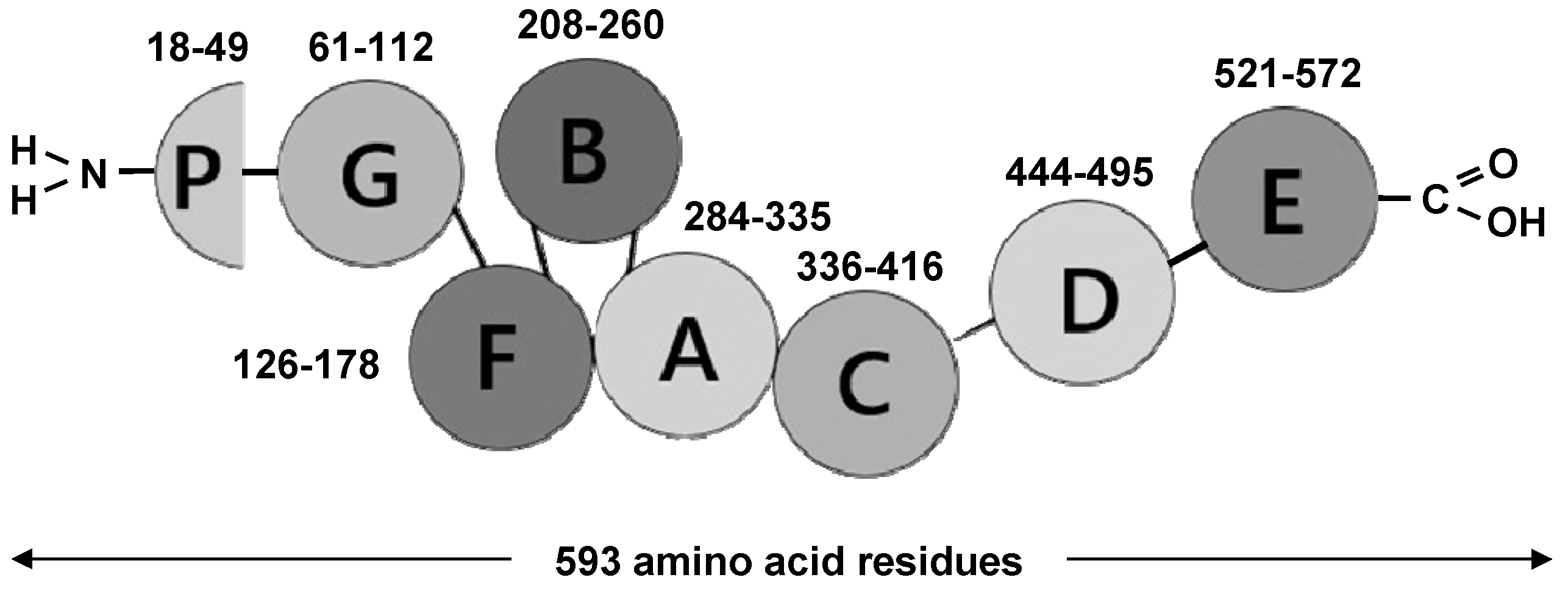 Cells 13 00124 g001 Cells 13 00124 g001