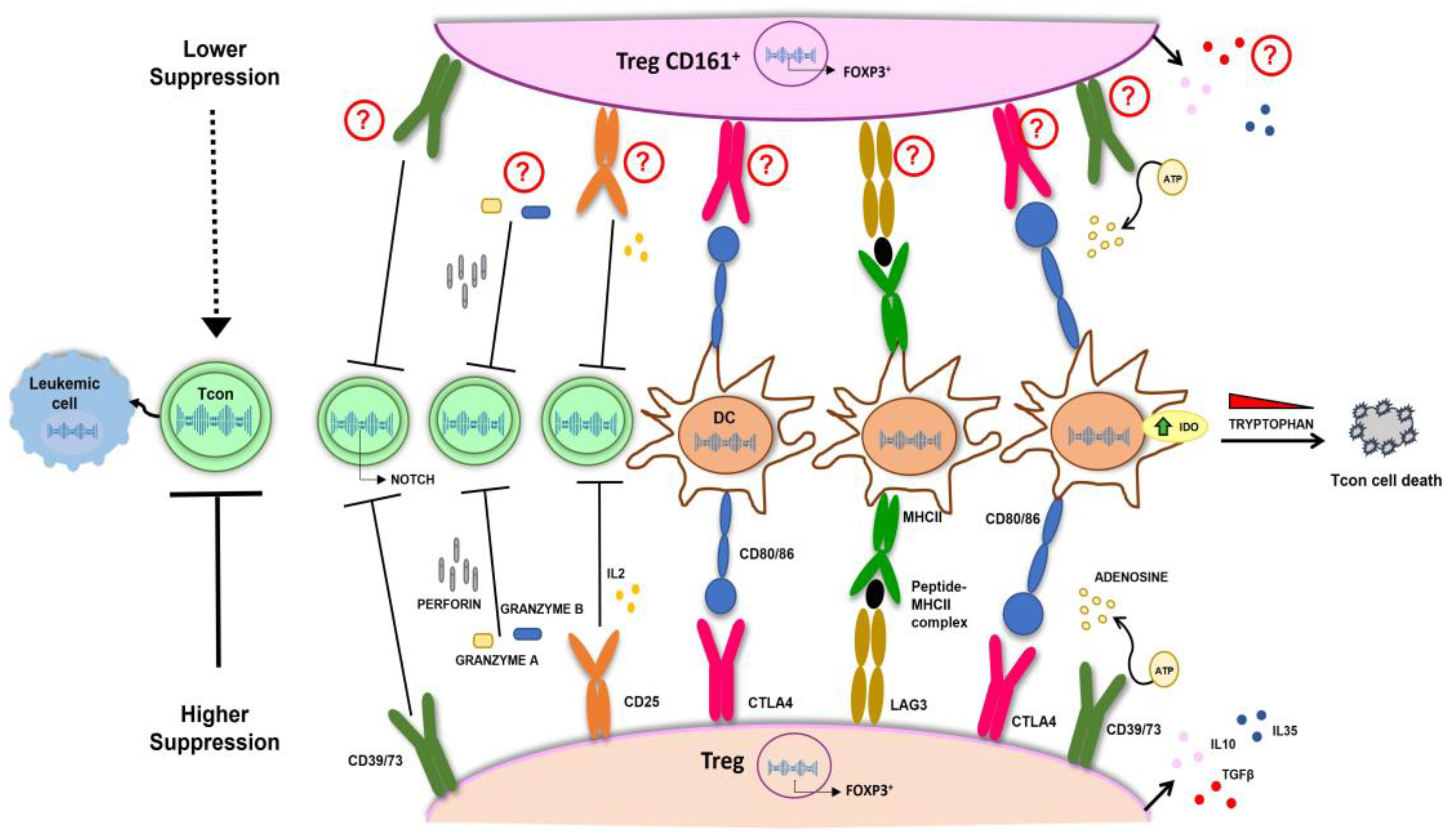 Cells 13 00134 g001 Cells 13 00134 g001