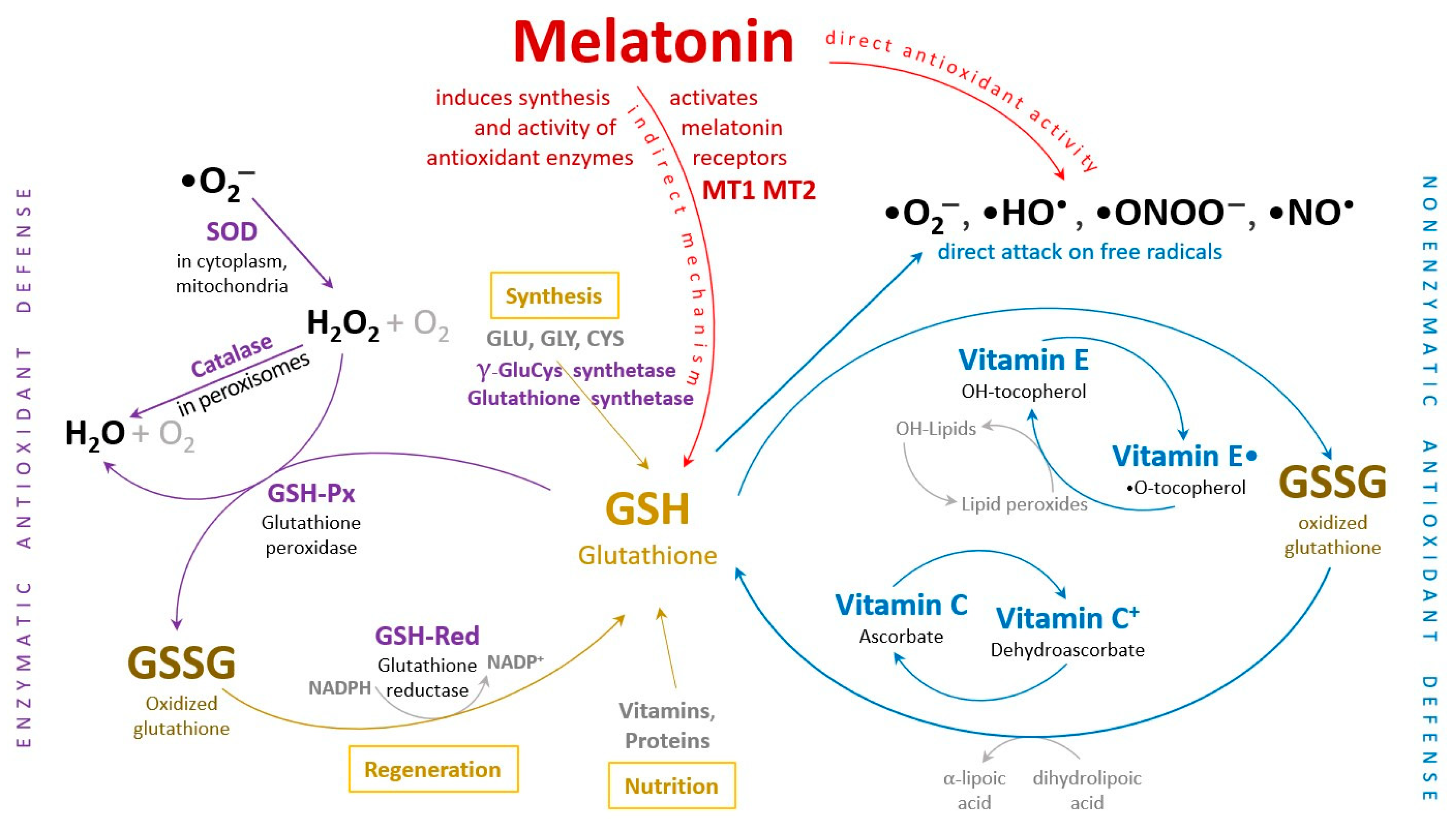 Cells 13 00138 g002 Cells 13 00138 g002