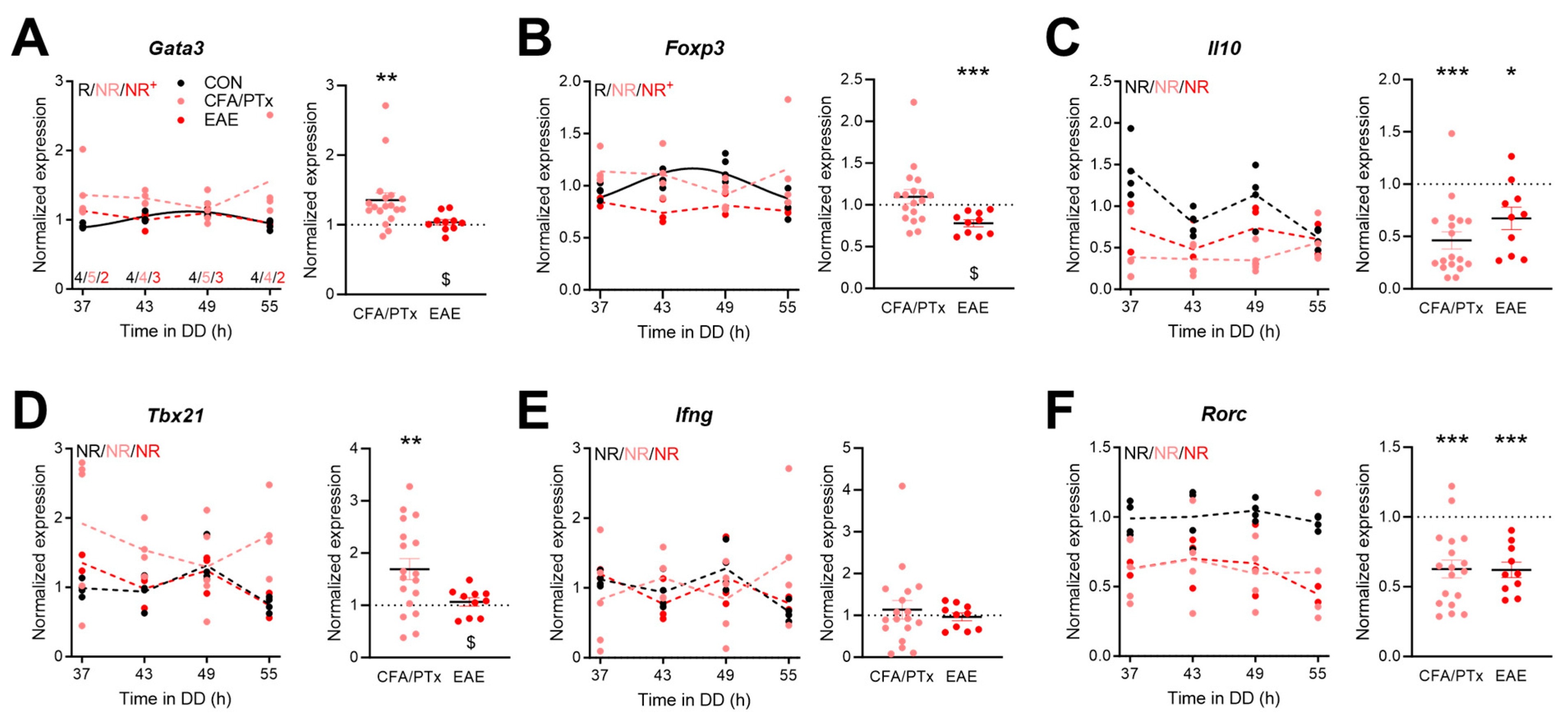 Cells 13 00151 g005 Cells 13 00151 g005