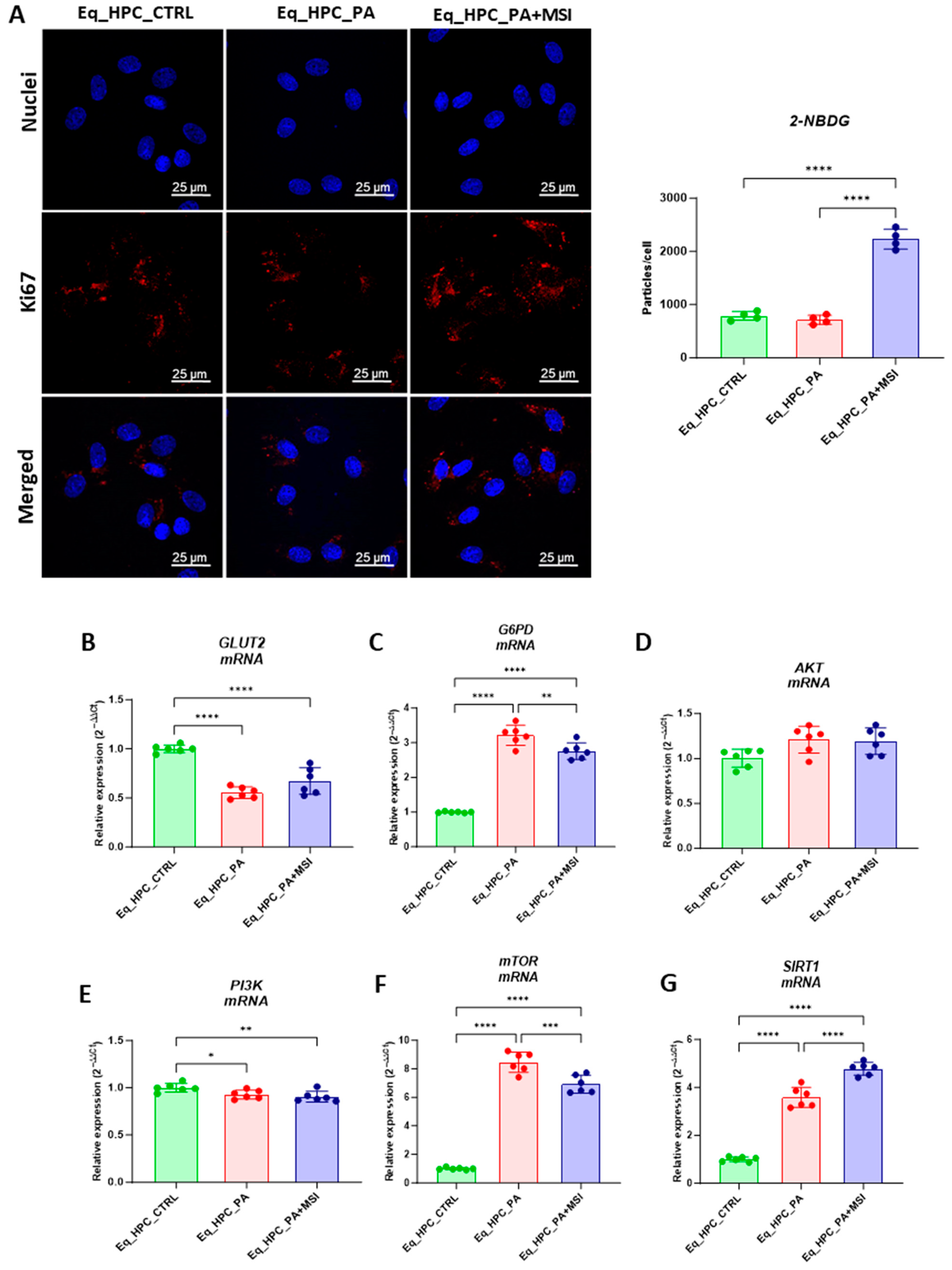 Cells 13 00152 g002a