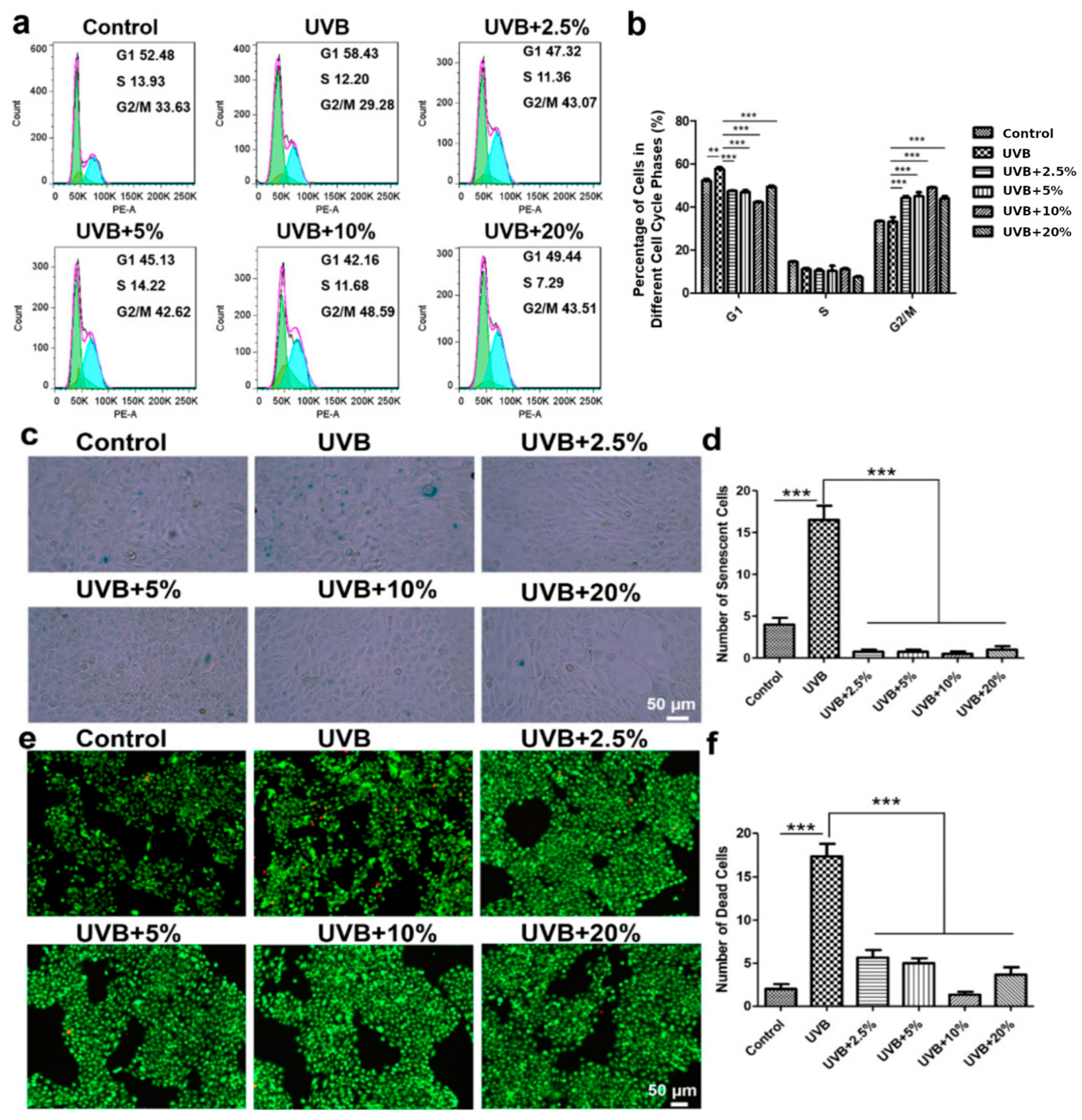 Cells 13 00156 g004 Cells 13 00156 g004