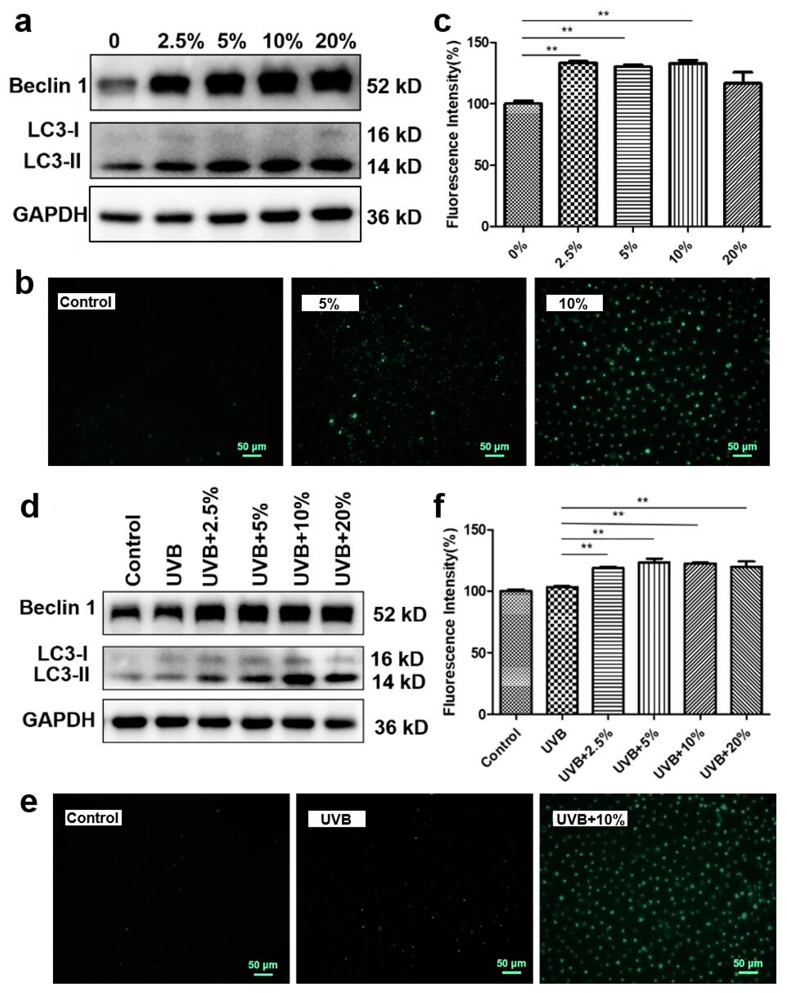 Cells 13 00156 g005 Cells 13 00156 g005