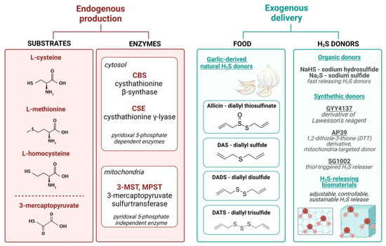 Cardioprotective Effects of Hydrogen Sulfide and Its