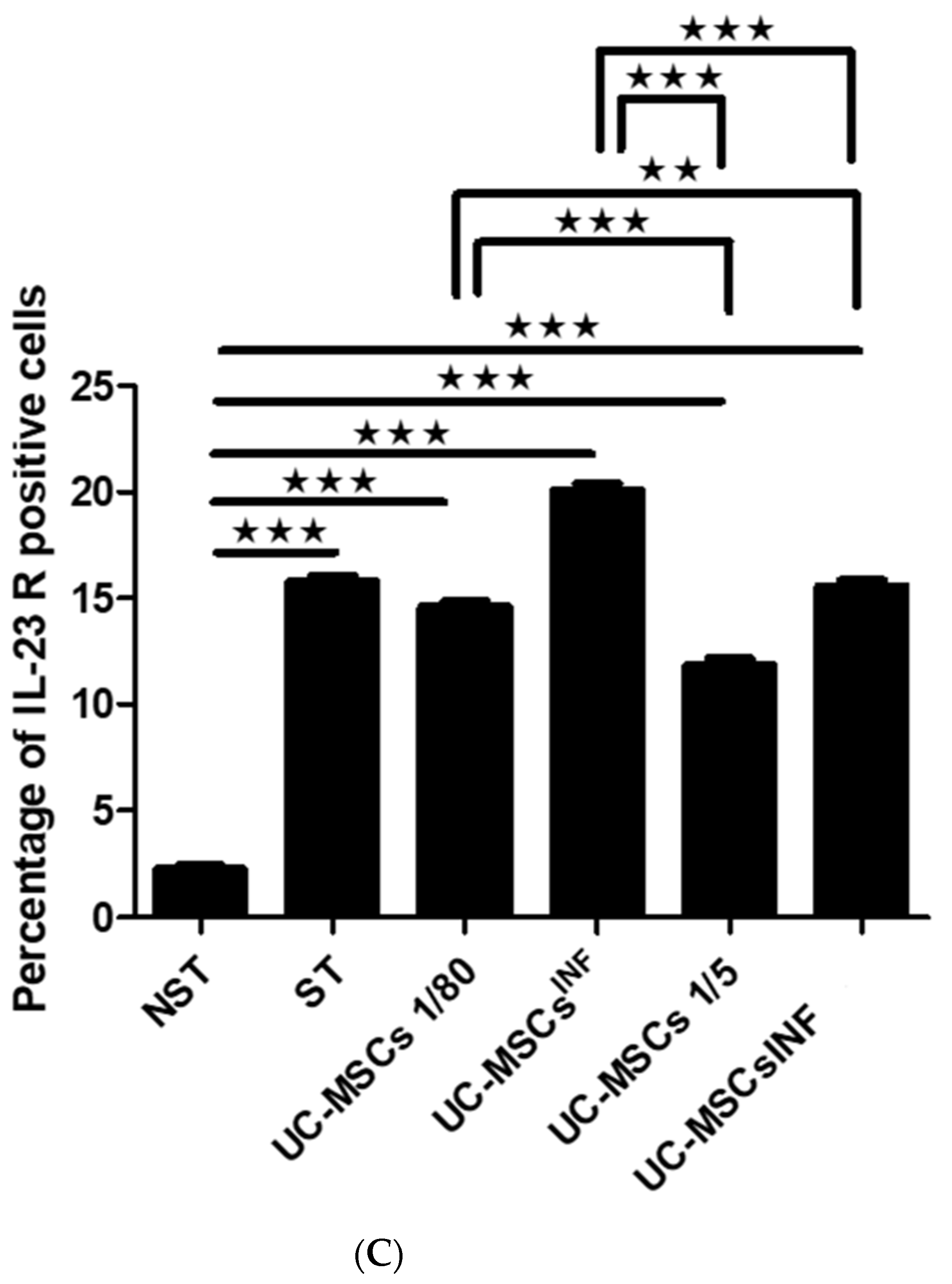 Cells 13 00169 g004b