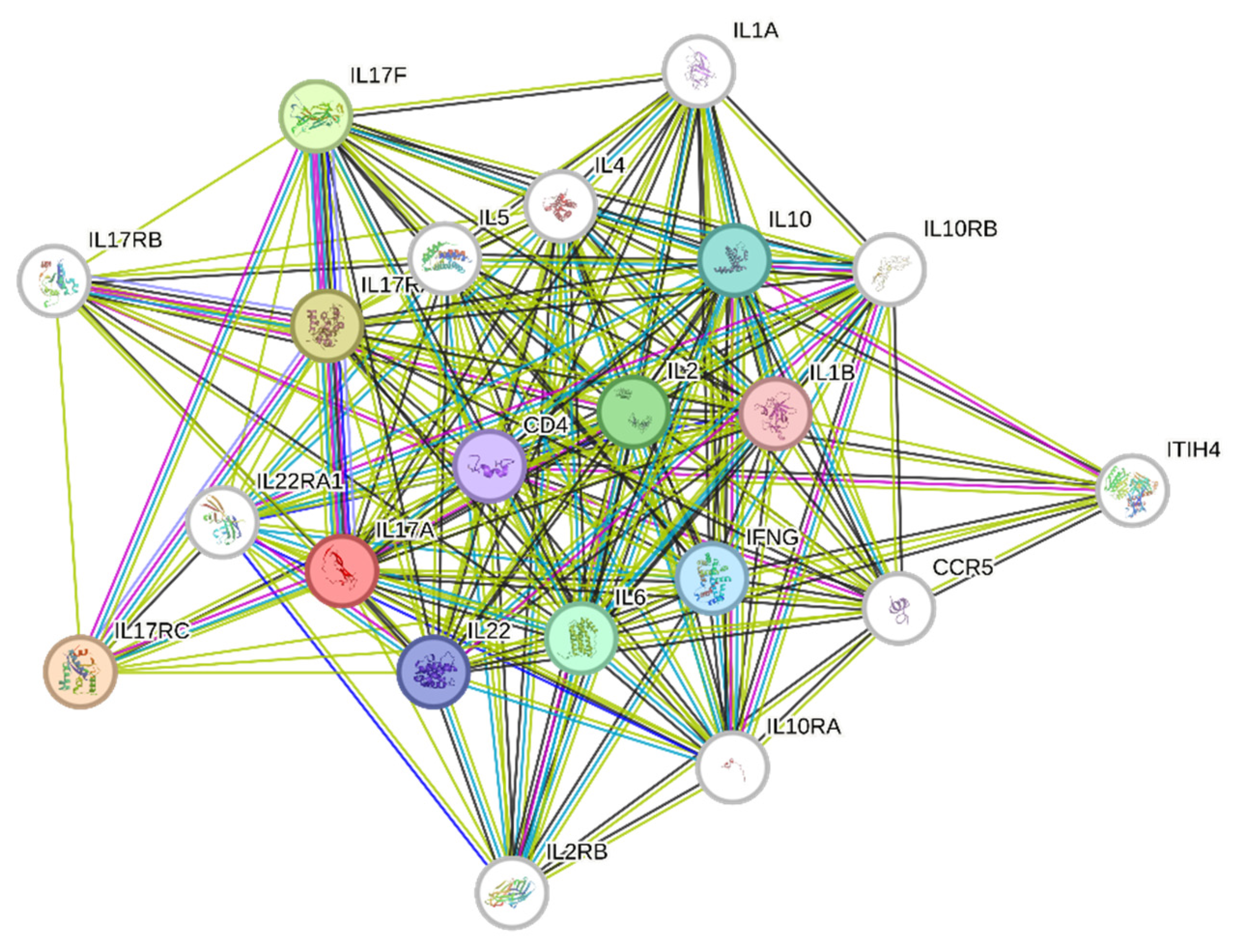 Cells 13 00169 g008a