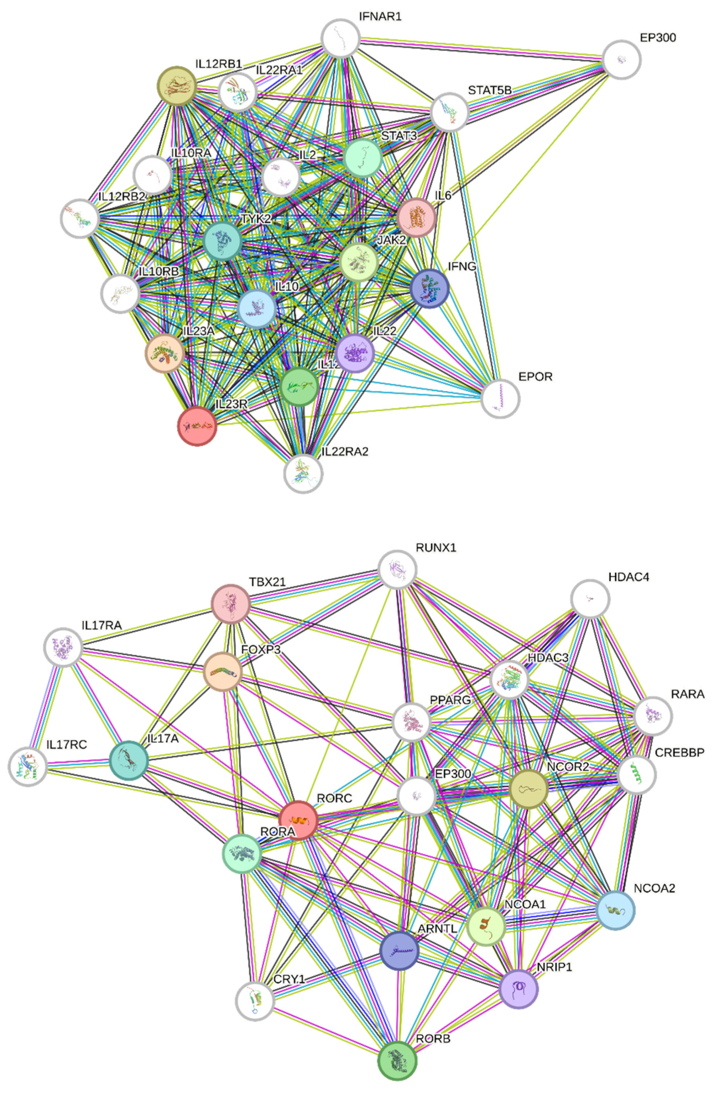 Cells 13 00169 g008b