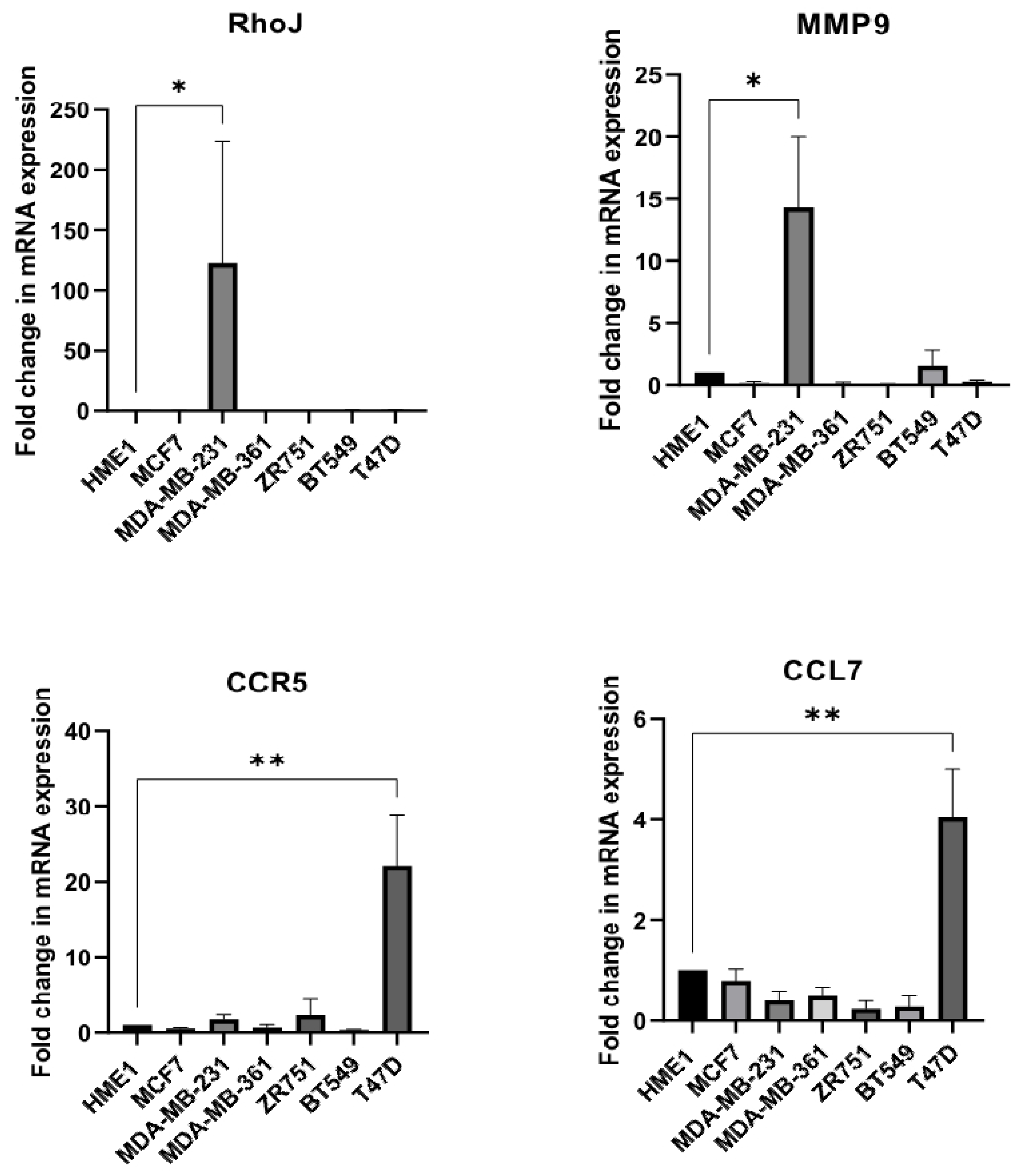 Cells 13 00174 g005 Cells 13 00174 g005