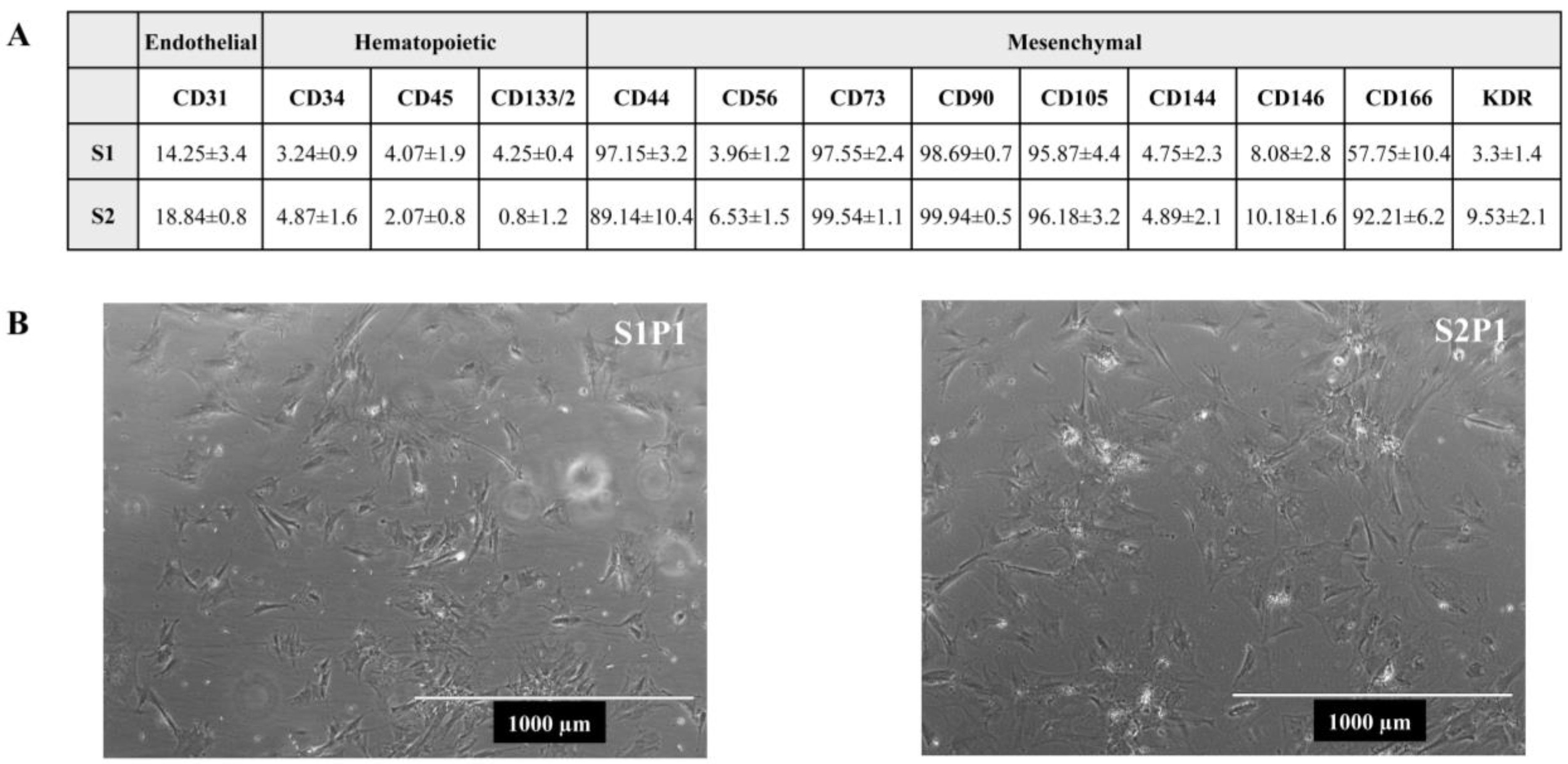 Cells 13 00182 g003 Cells 13 00182 g003