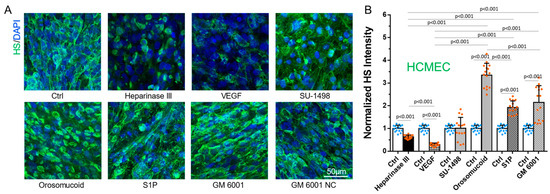 577 Heparan Sulfate Modulation Affects Breast Cancer Cell