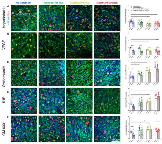 Heparan Sulfate Modulation Affects Breast Cancer Cell