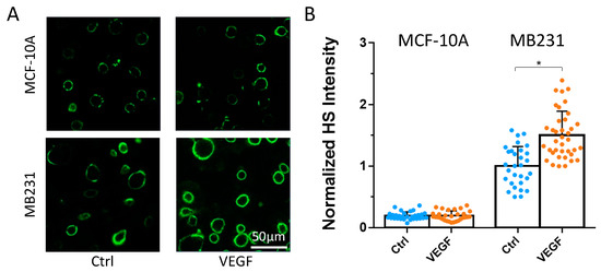 577 Heparan Sulfate Modulation Affects Breast Cancer Cell