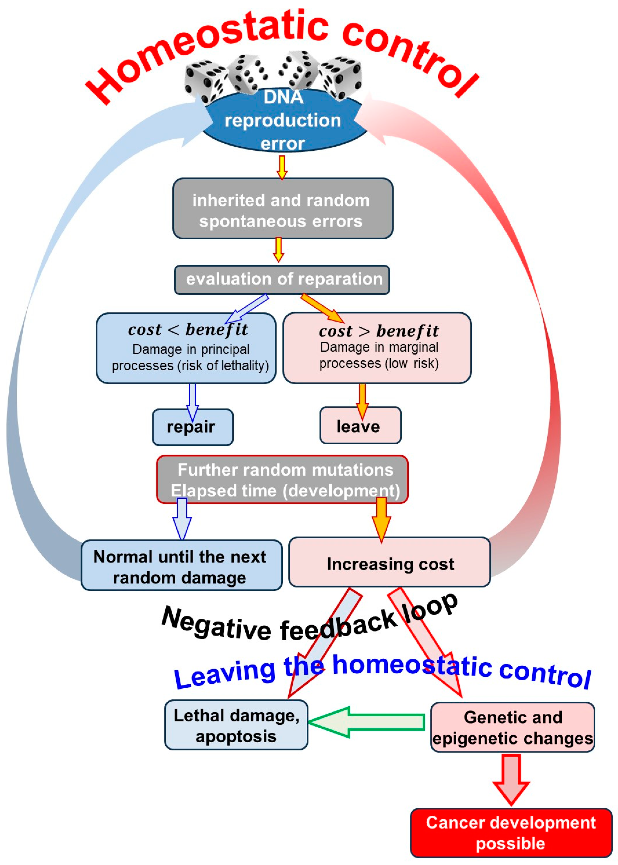 Cells 13 00197 g002 Cells 13 00197 g002