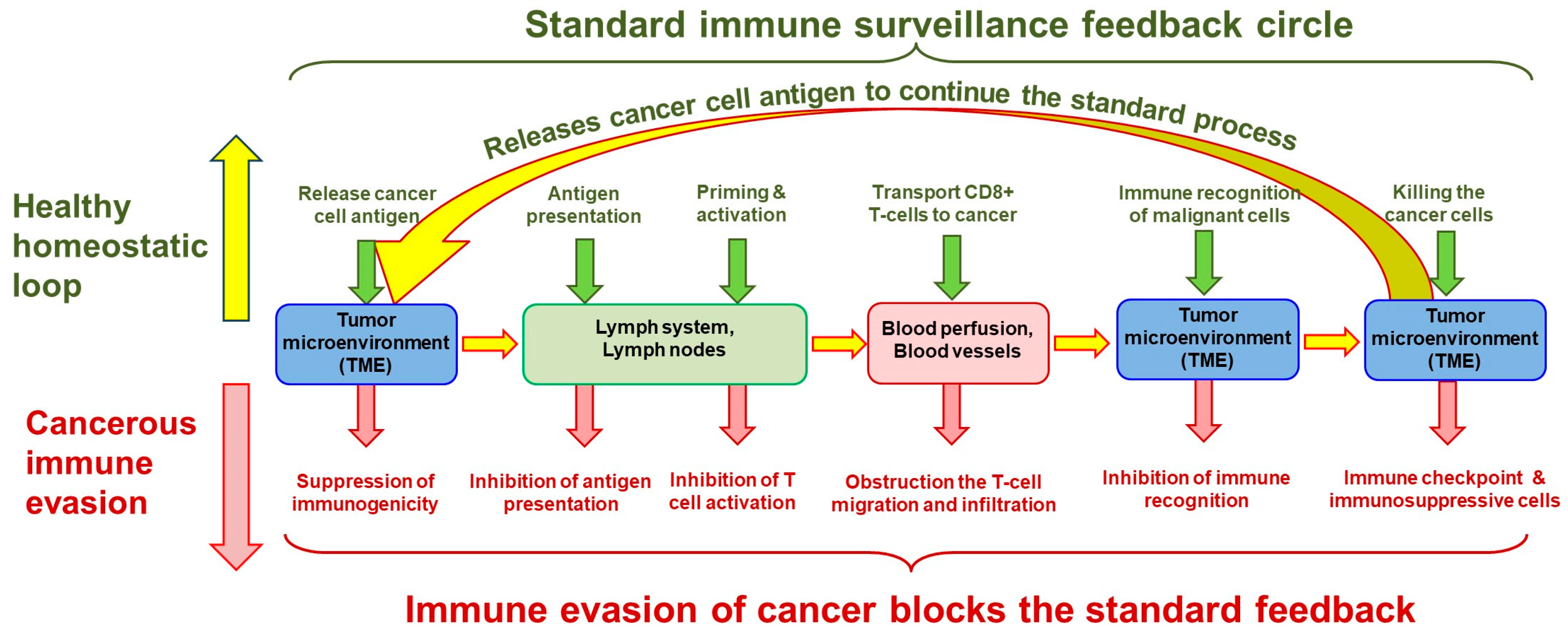 Cells 13 00197 g004 Cells 13 00197 g004