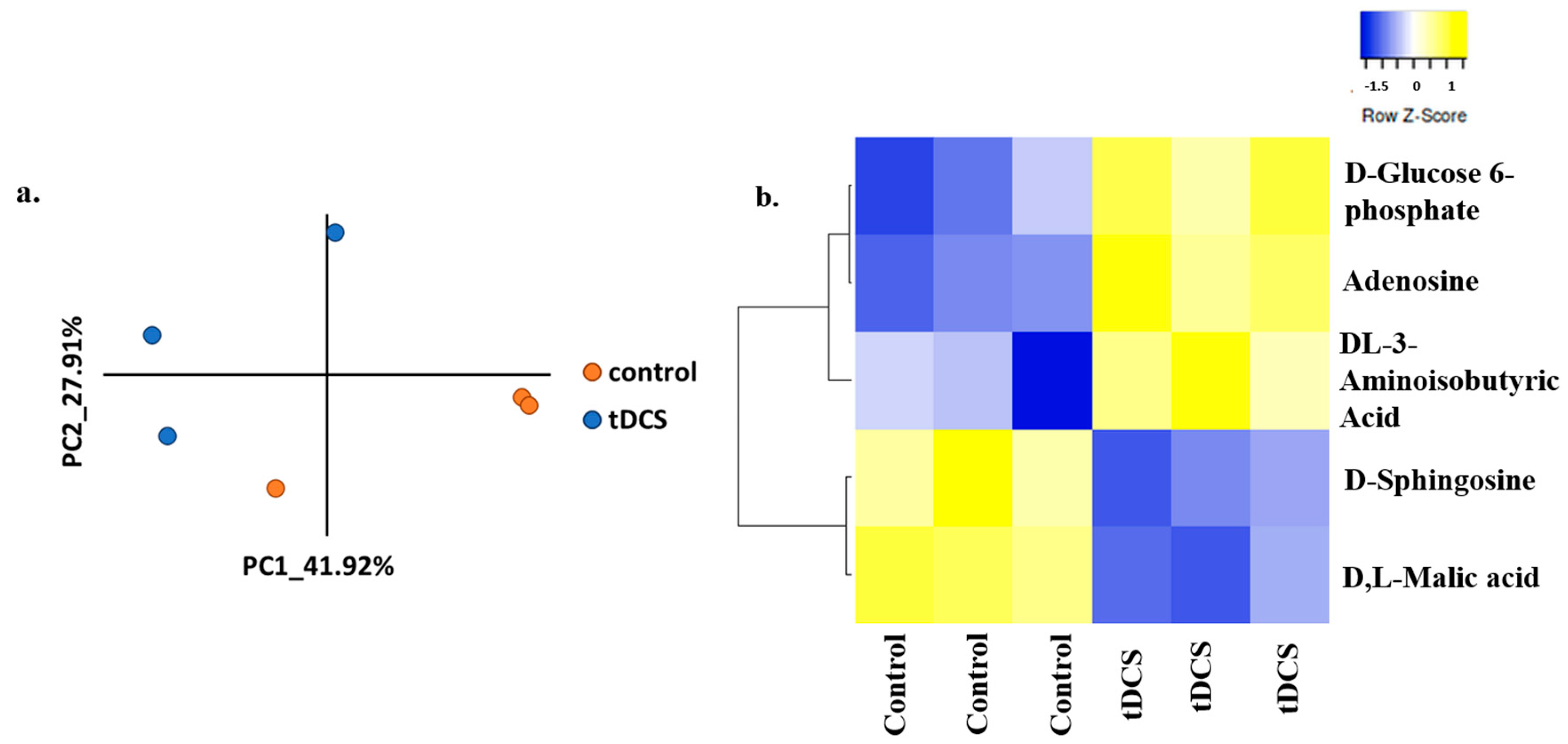 Cells 13 00205 g002 Cells 13 00205 g002
