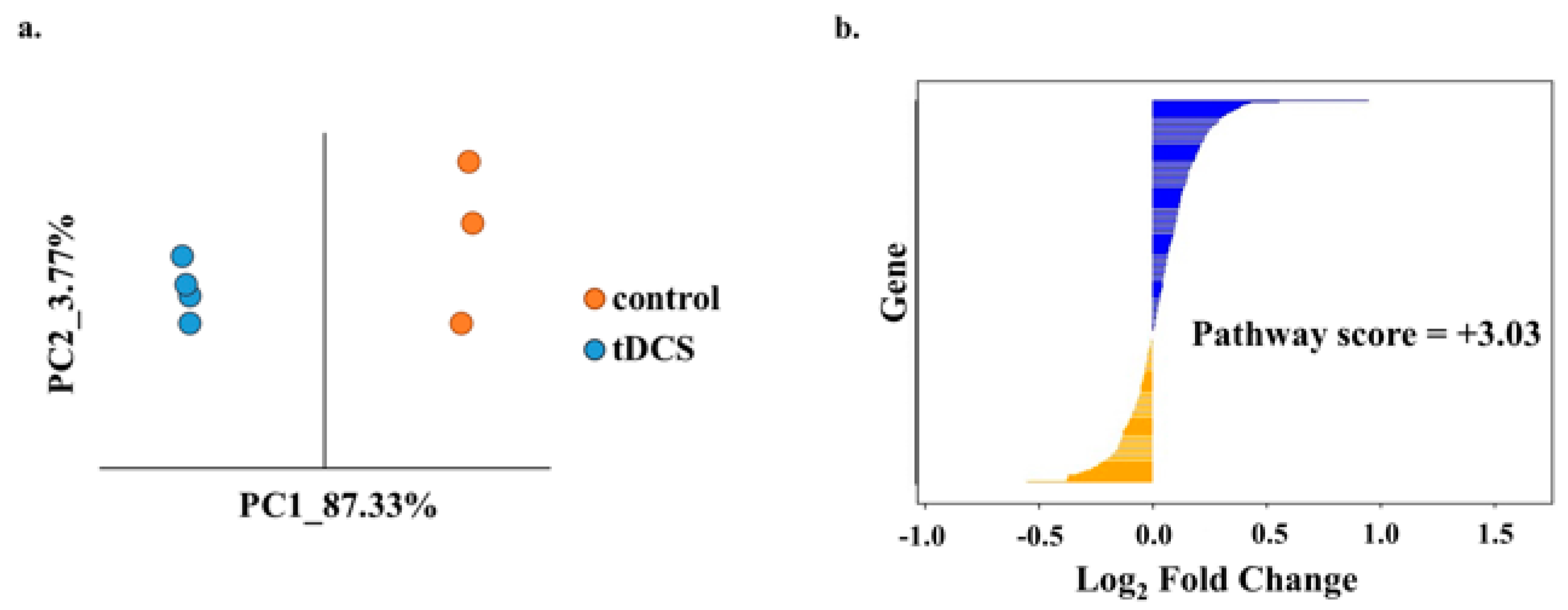 Cells 13 00205 g005 Cells 13 00205 g005