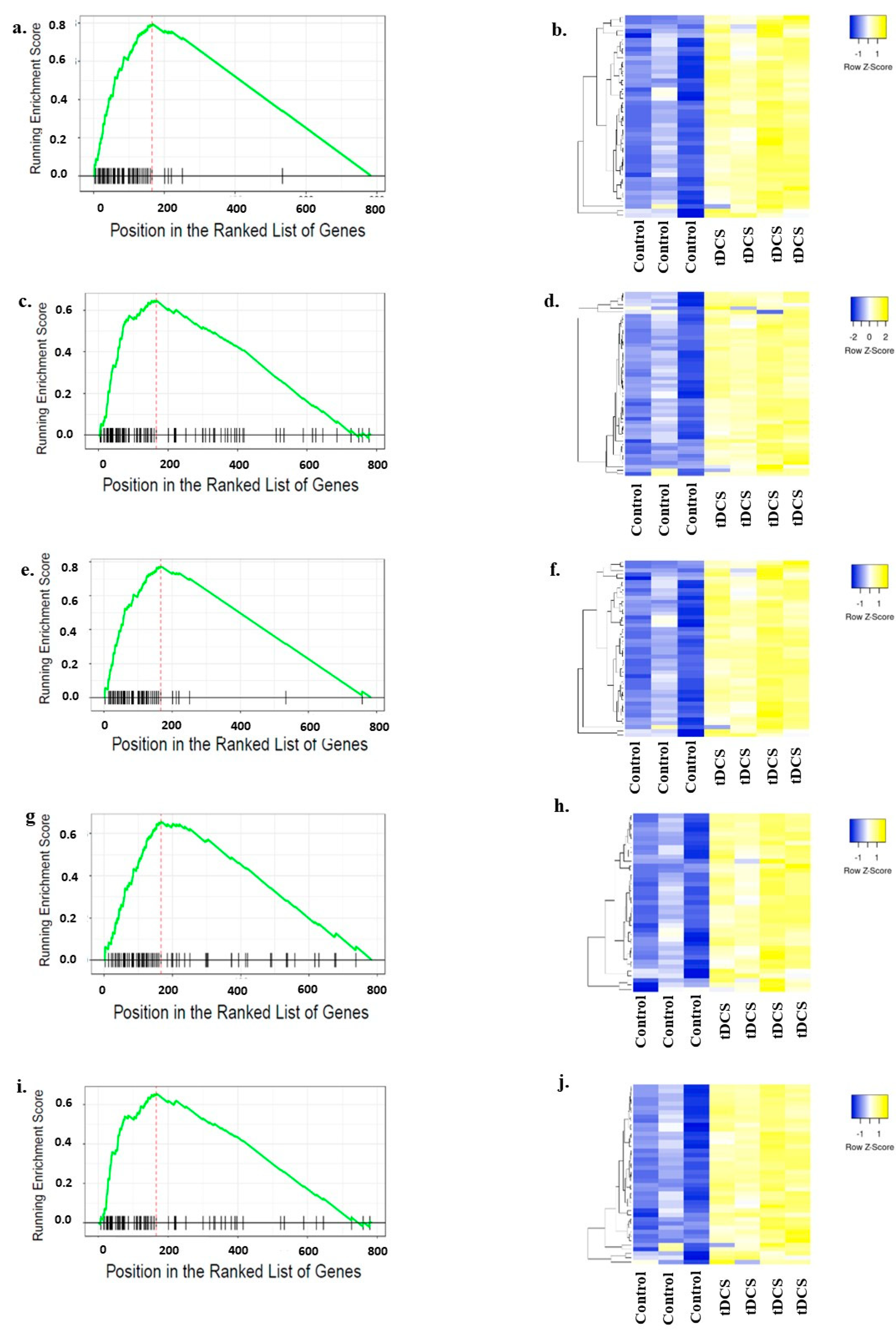 Cells 13 00205 g006 Cells 13 00205 g006