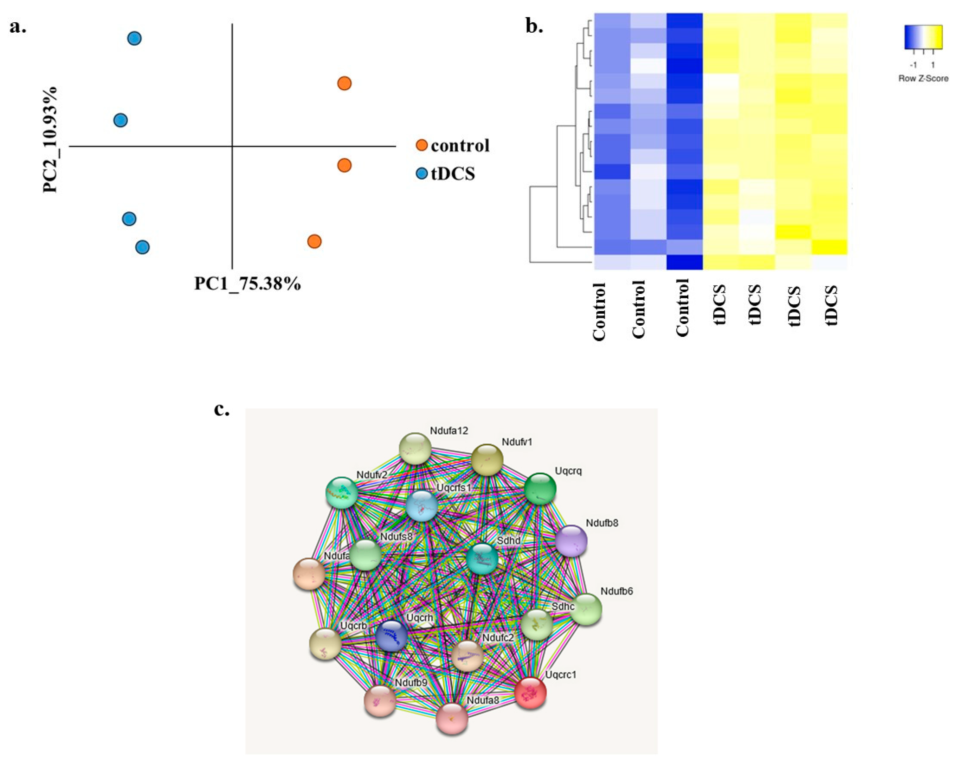 Cells 13 00205 g007 Cells 13 00205 g007