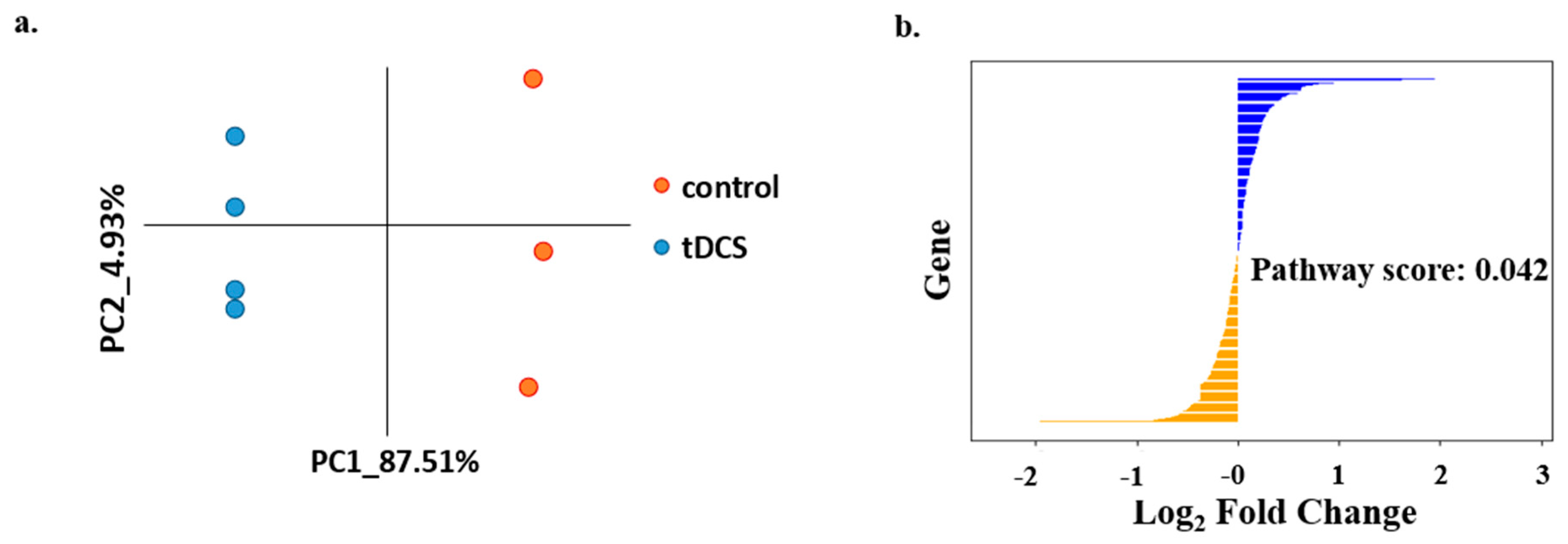 Cells 13 00205 g009 Cells 13 00205 g009