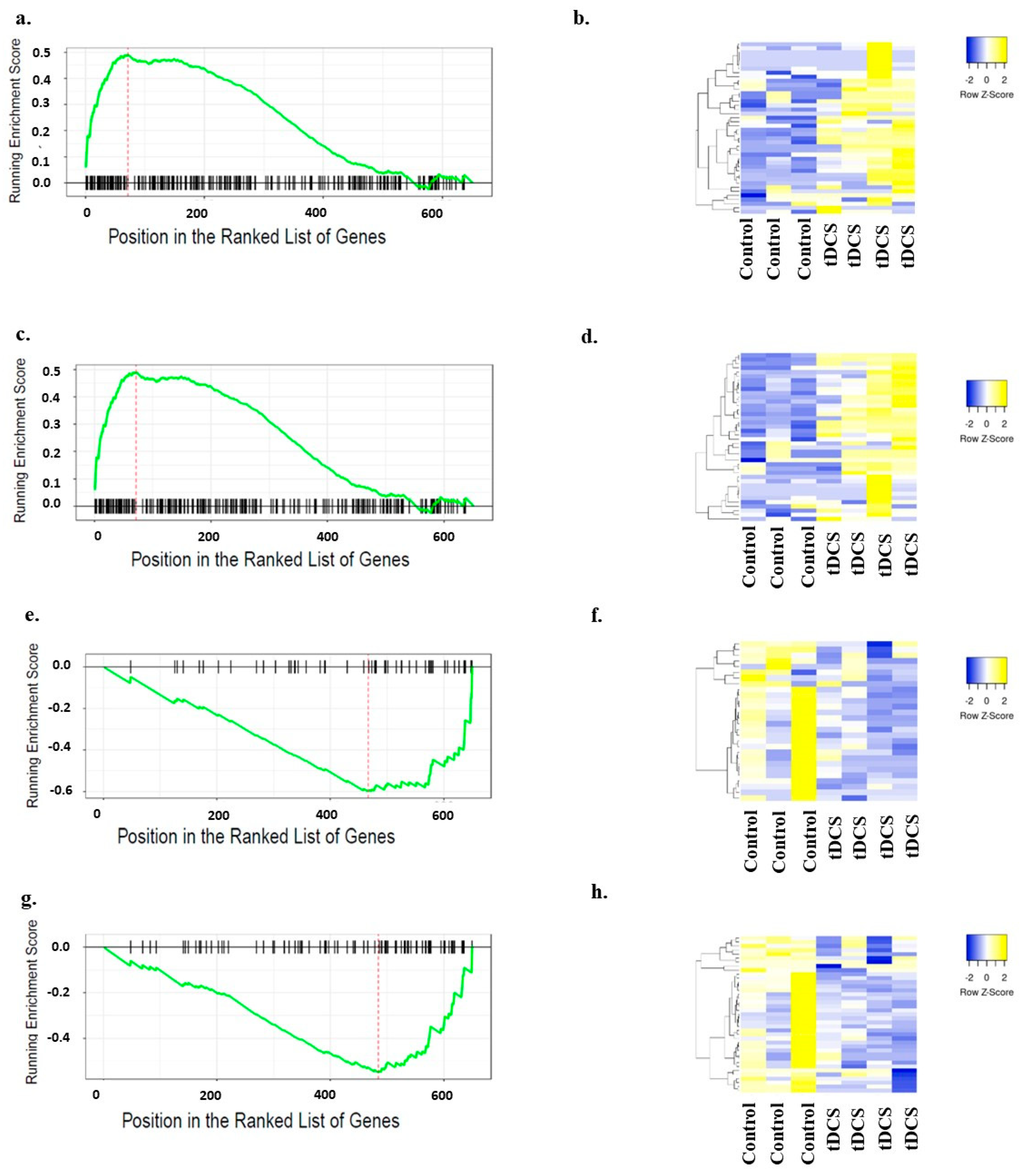Cells 13 00205 g010 Cells 13 00205 g010