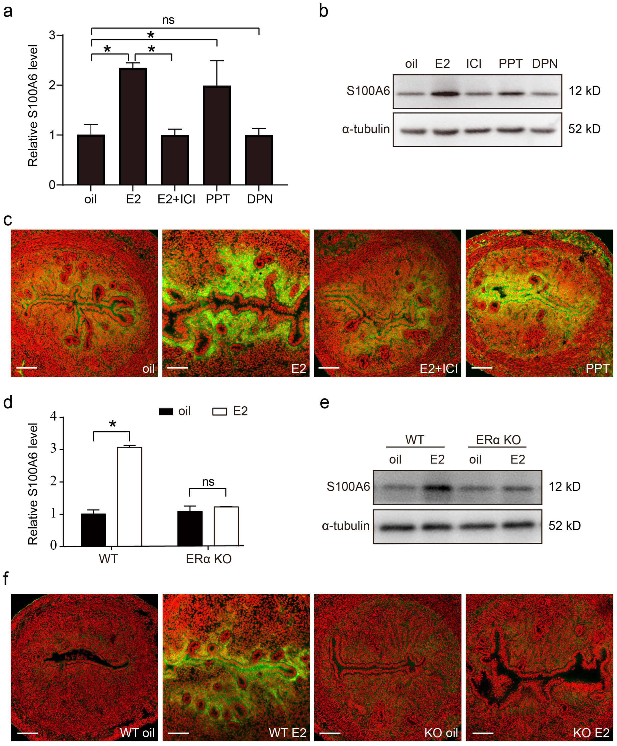 Cells 13 00206 g008 Cells 13 00206 g008