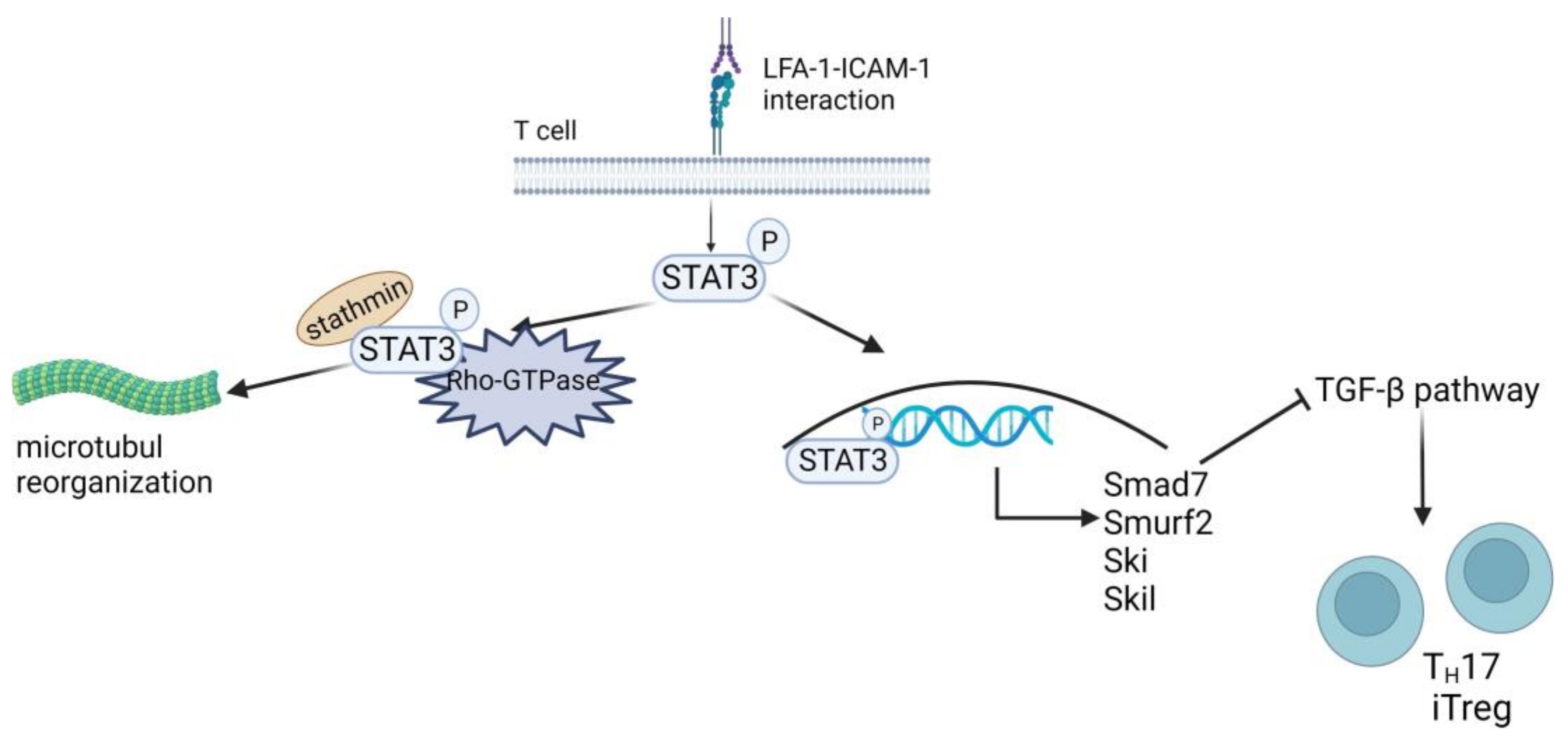 Cells 13 00212 g005 Cells 13 00212 g005