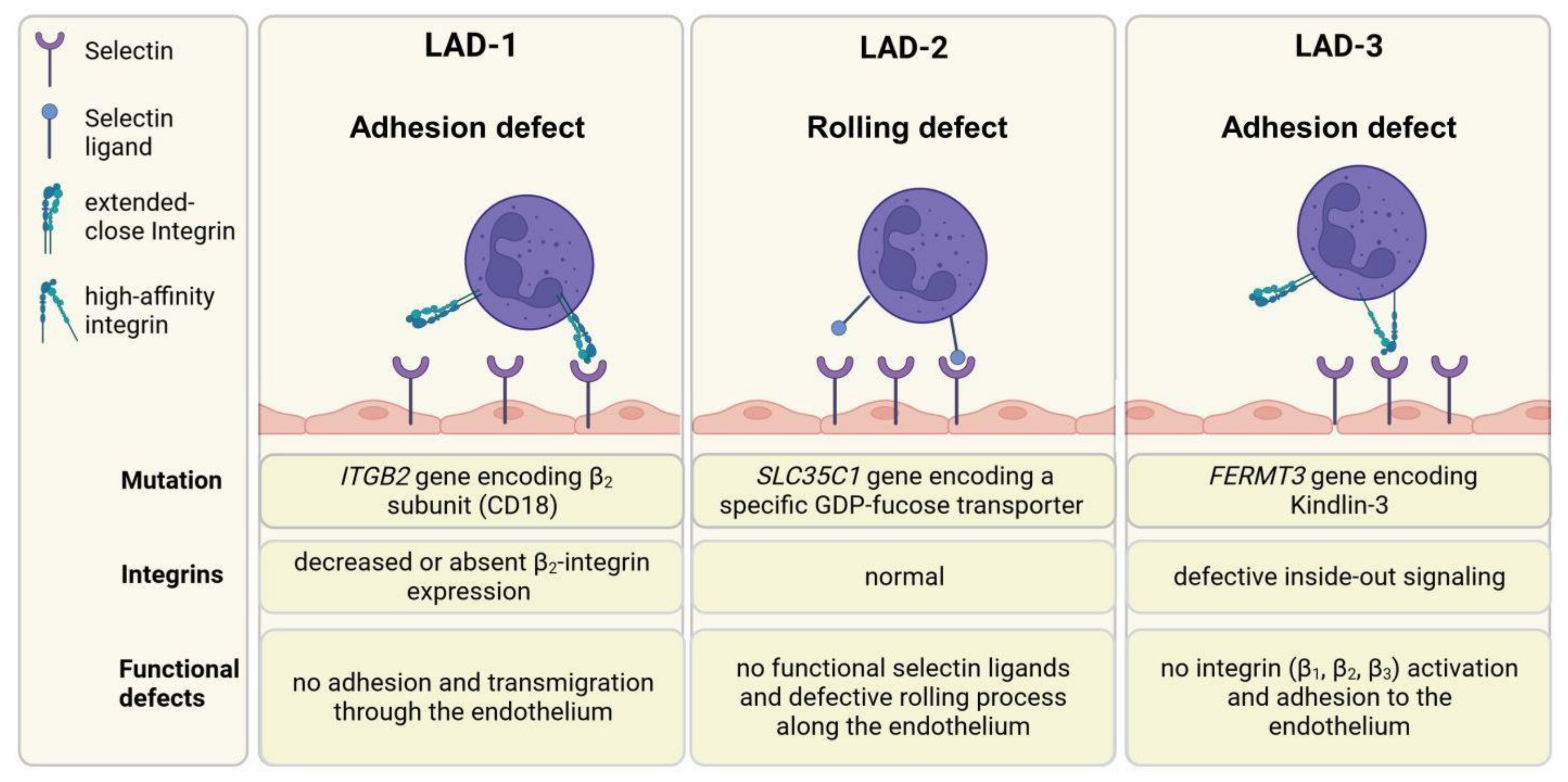 Cells 13 00212 g006 Cells 13 00212 g006
