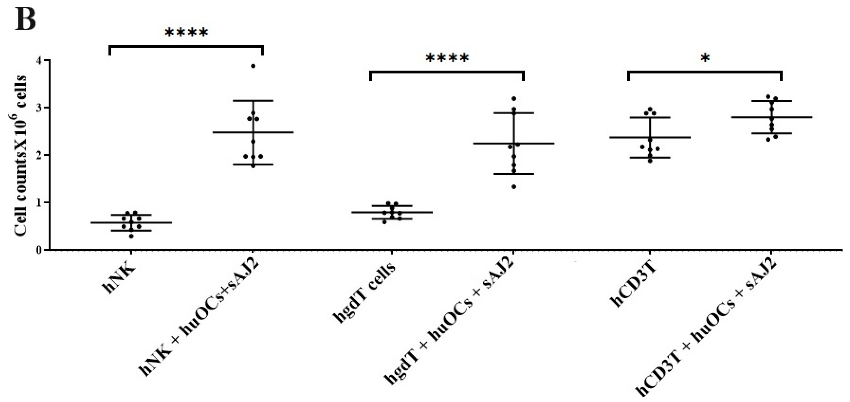 Cells 13 00213 g002b