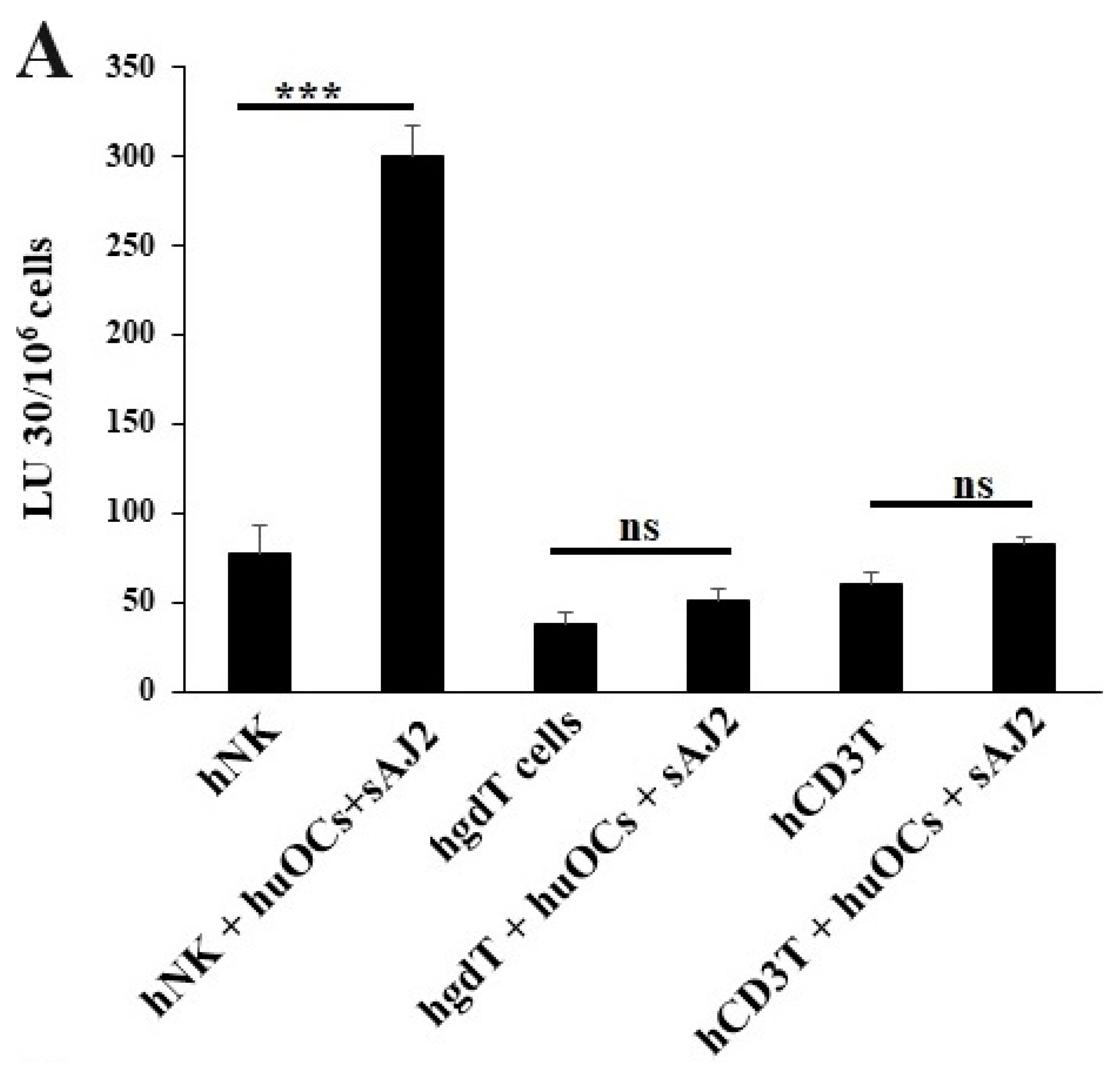 Cells 13 00213 g003a