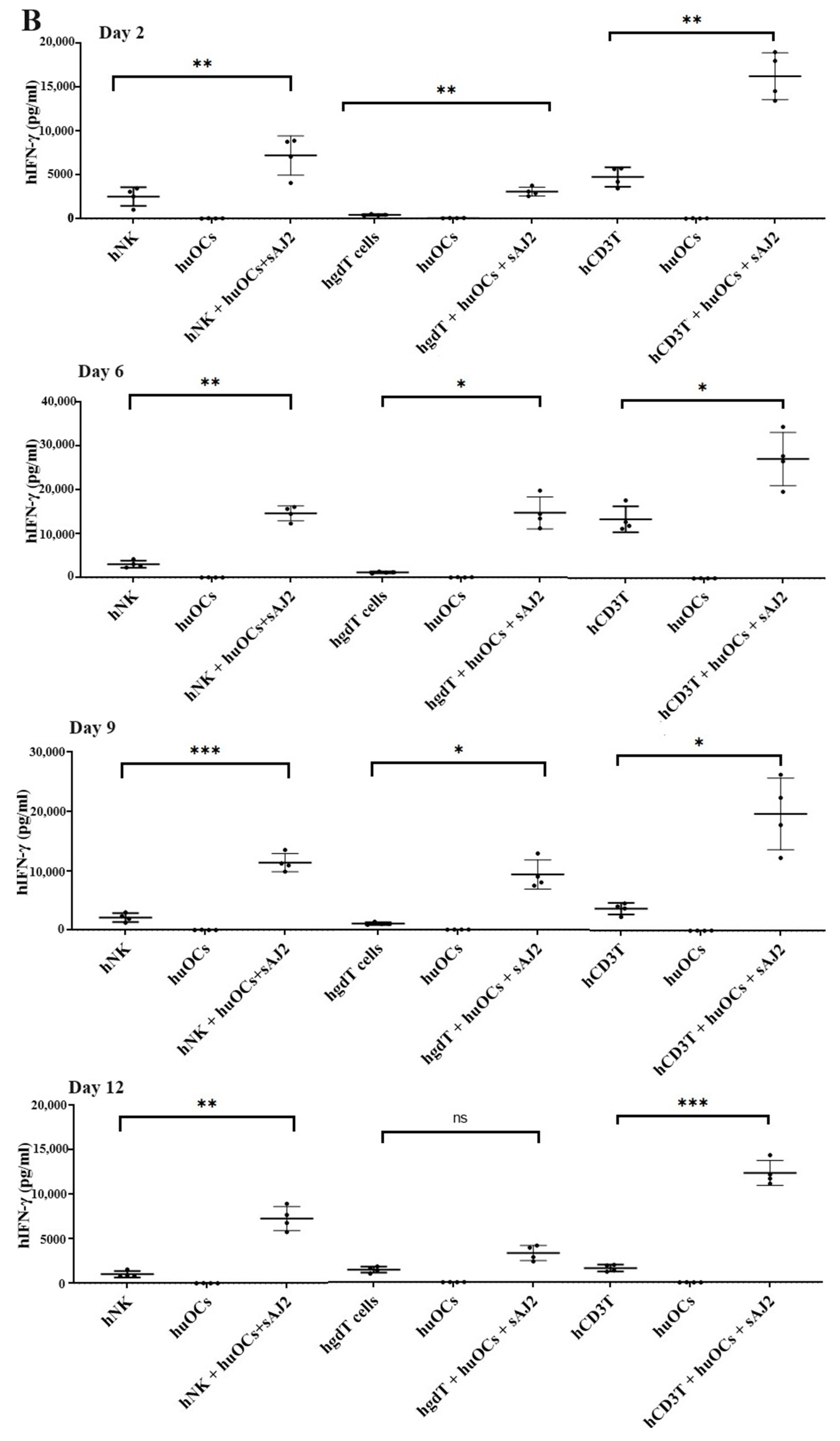 Cells 13 00213 g003b
