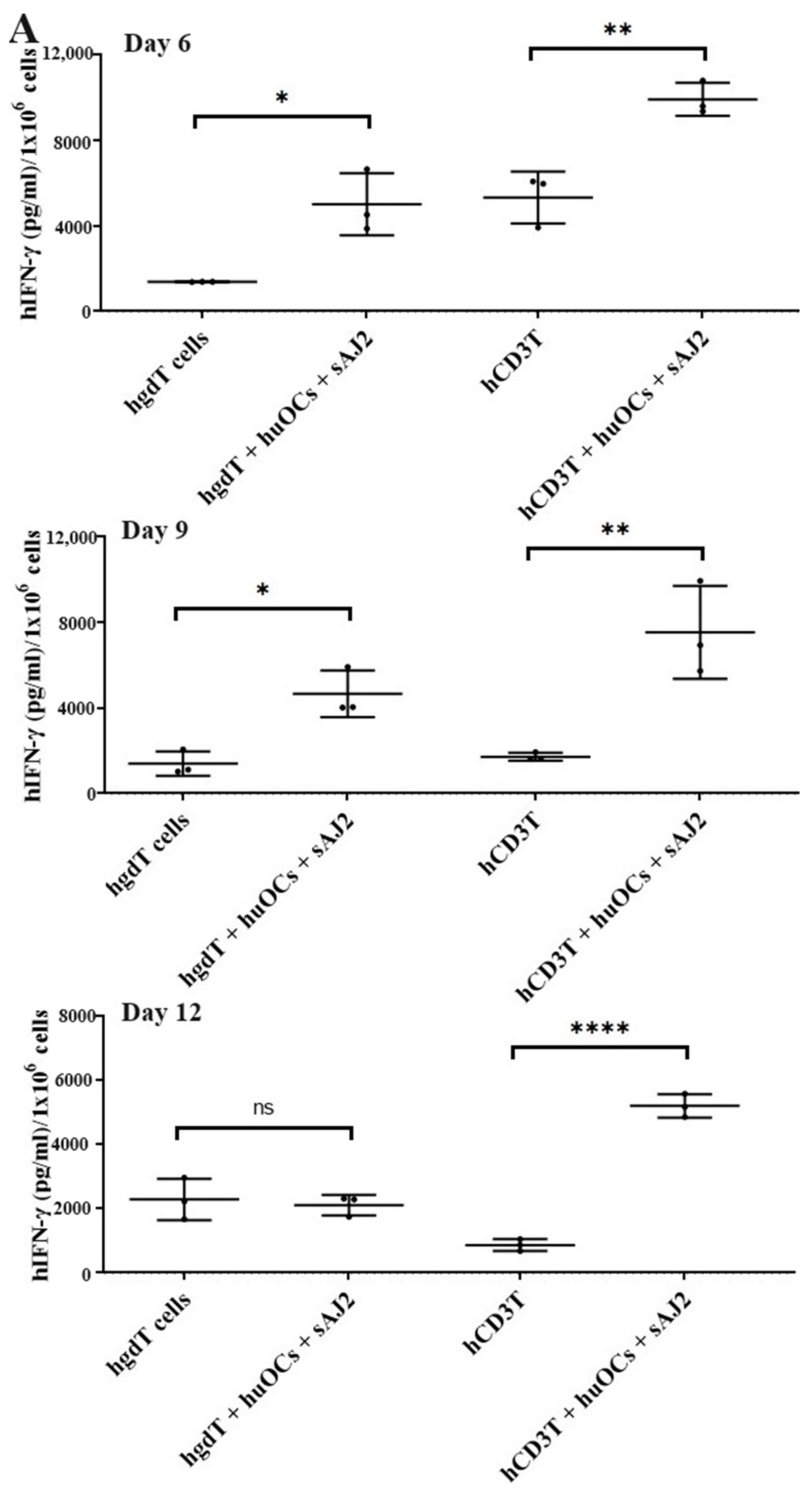 Cells 13 00213 g004a