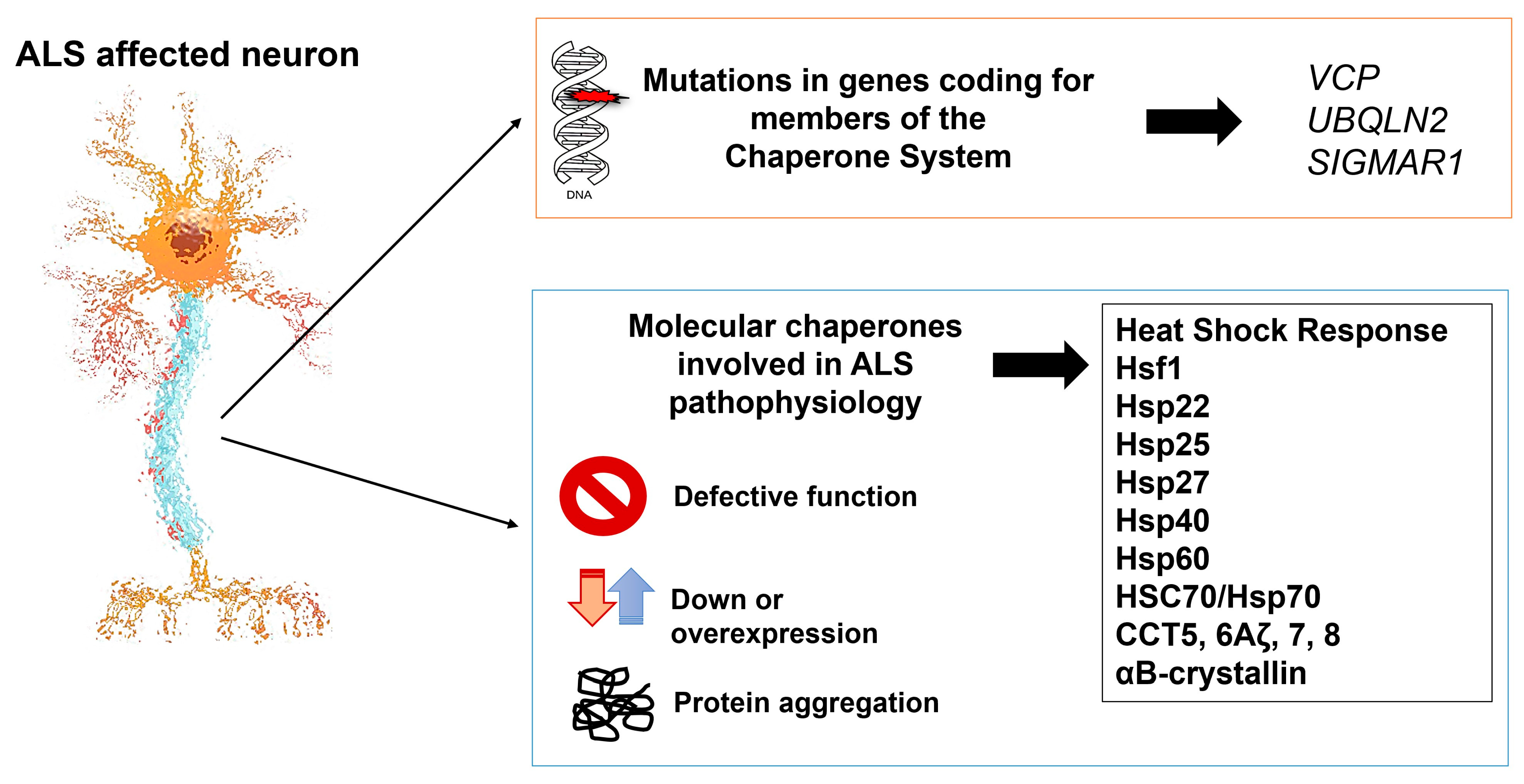 Cells 13 00217 g001 Cells 13 00217 g001
