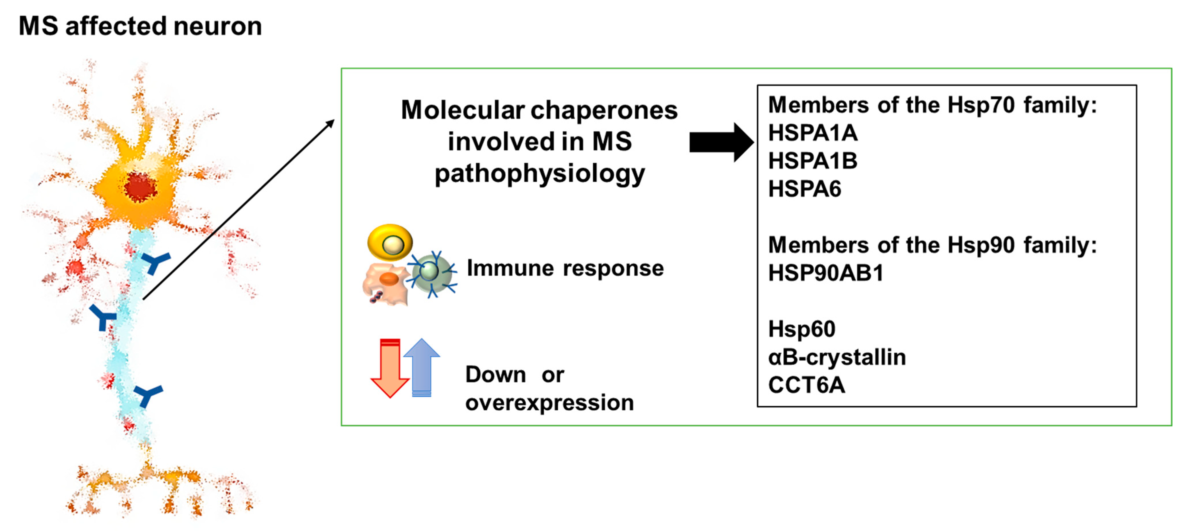 Cells 13 00217 g002 Cells 13 00217 g002