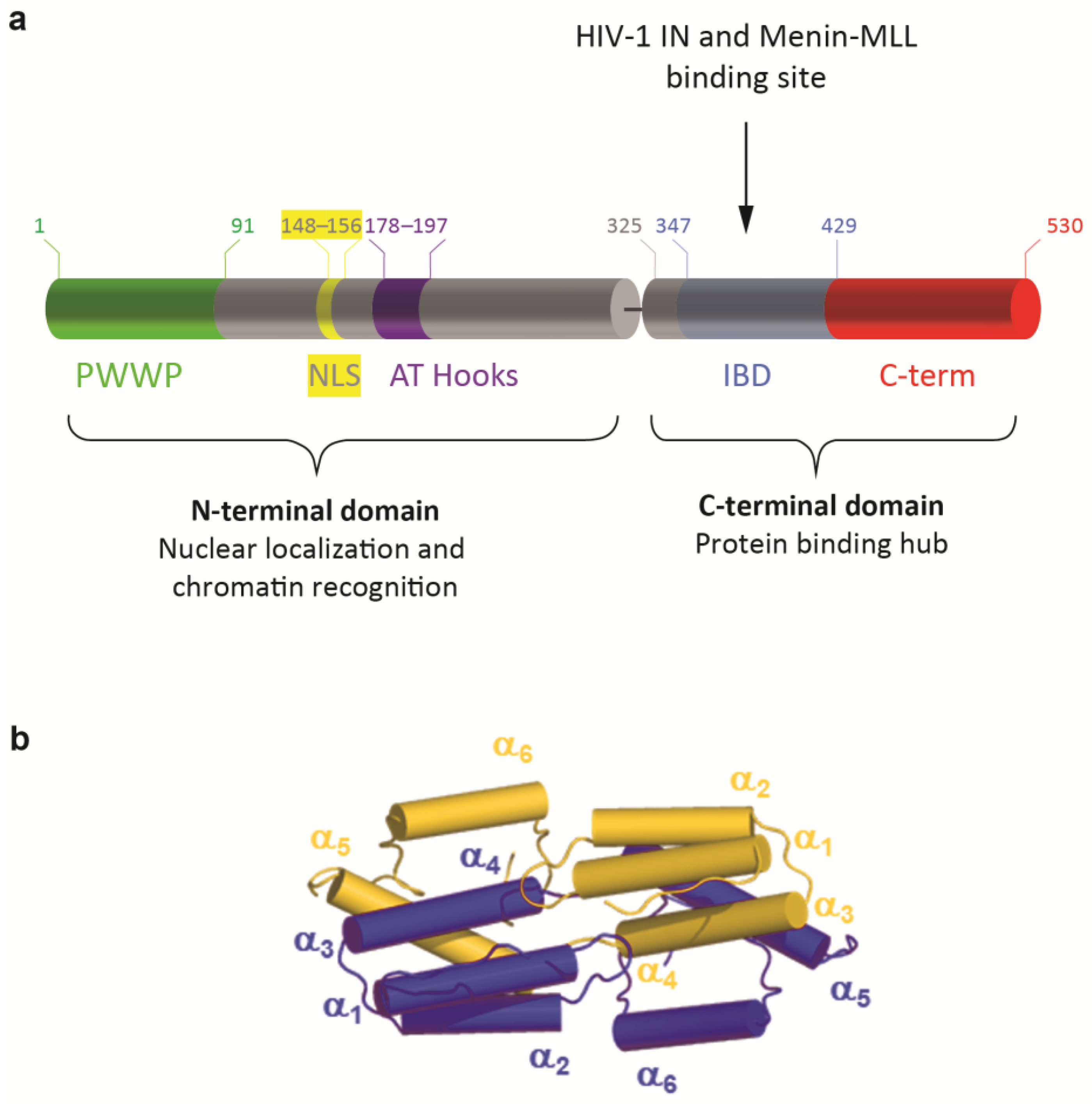 Cells 13 00227 g001 Cells 13 00227 g001