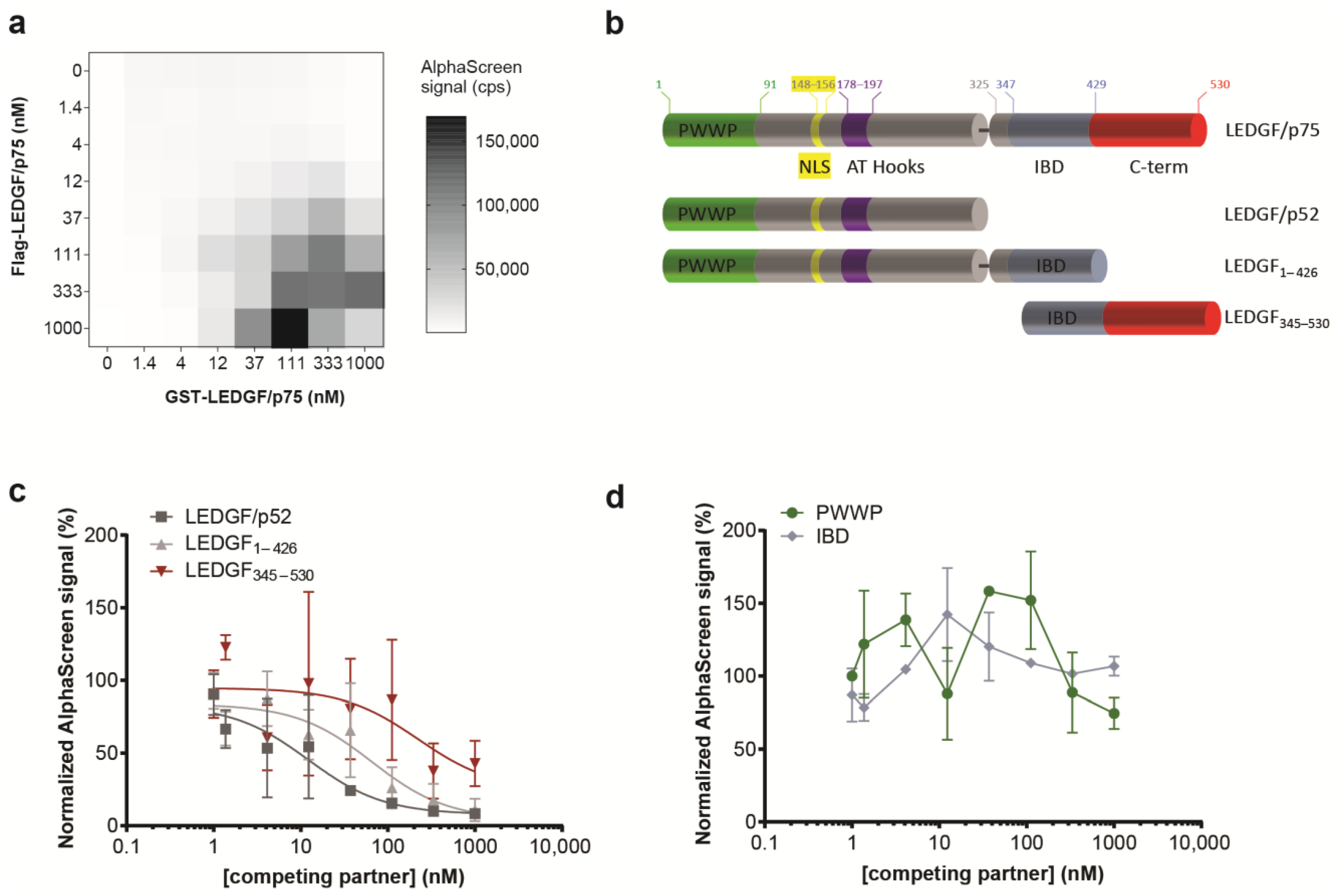 Cells 13 00227 g002 Cells 13 00227 g002