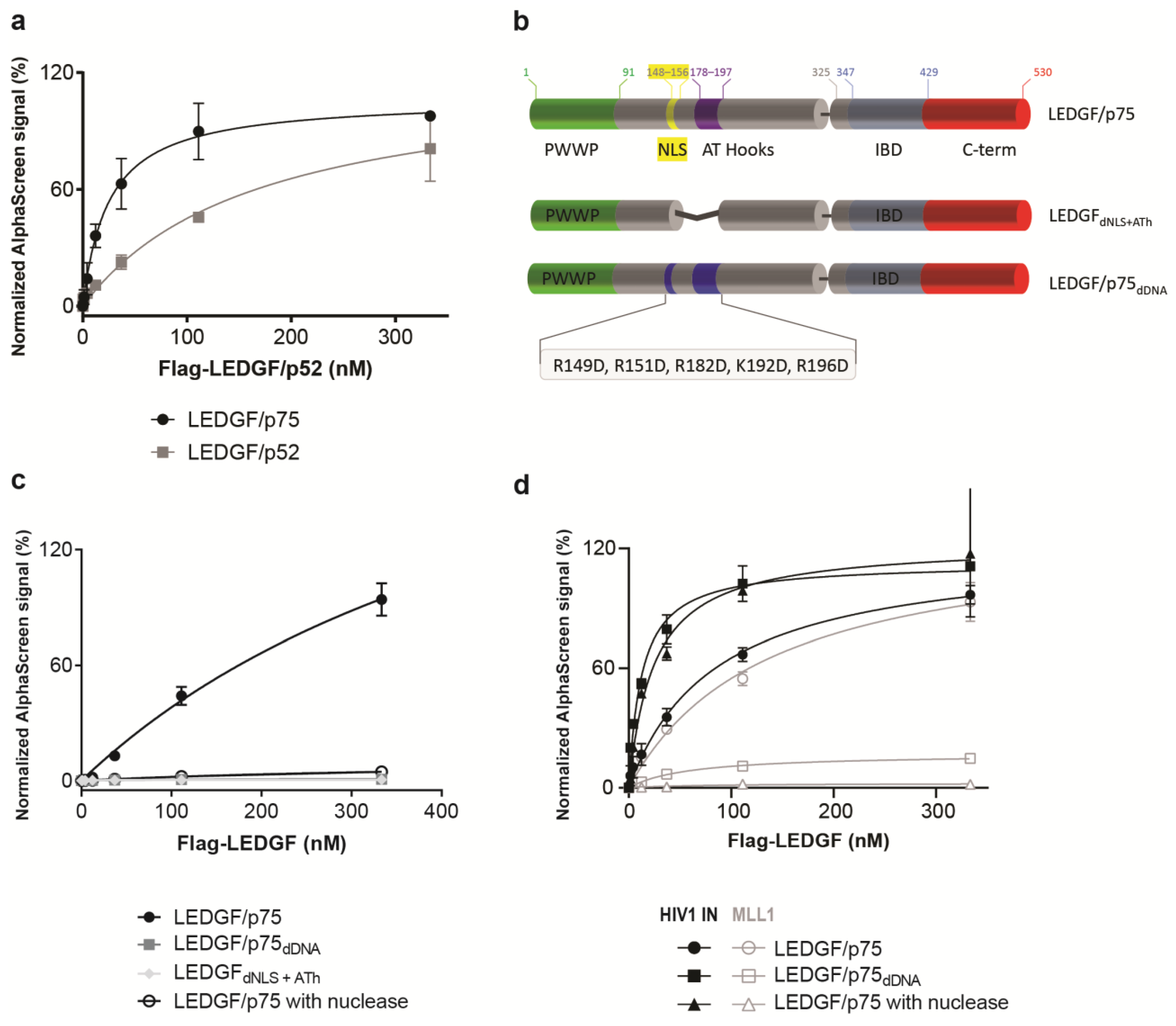 Cells 13 00227 g003 Cells 13 00227 g003