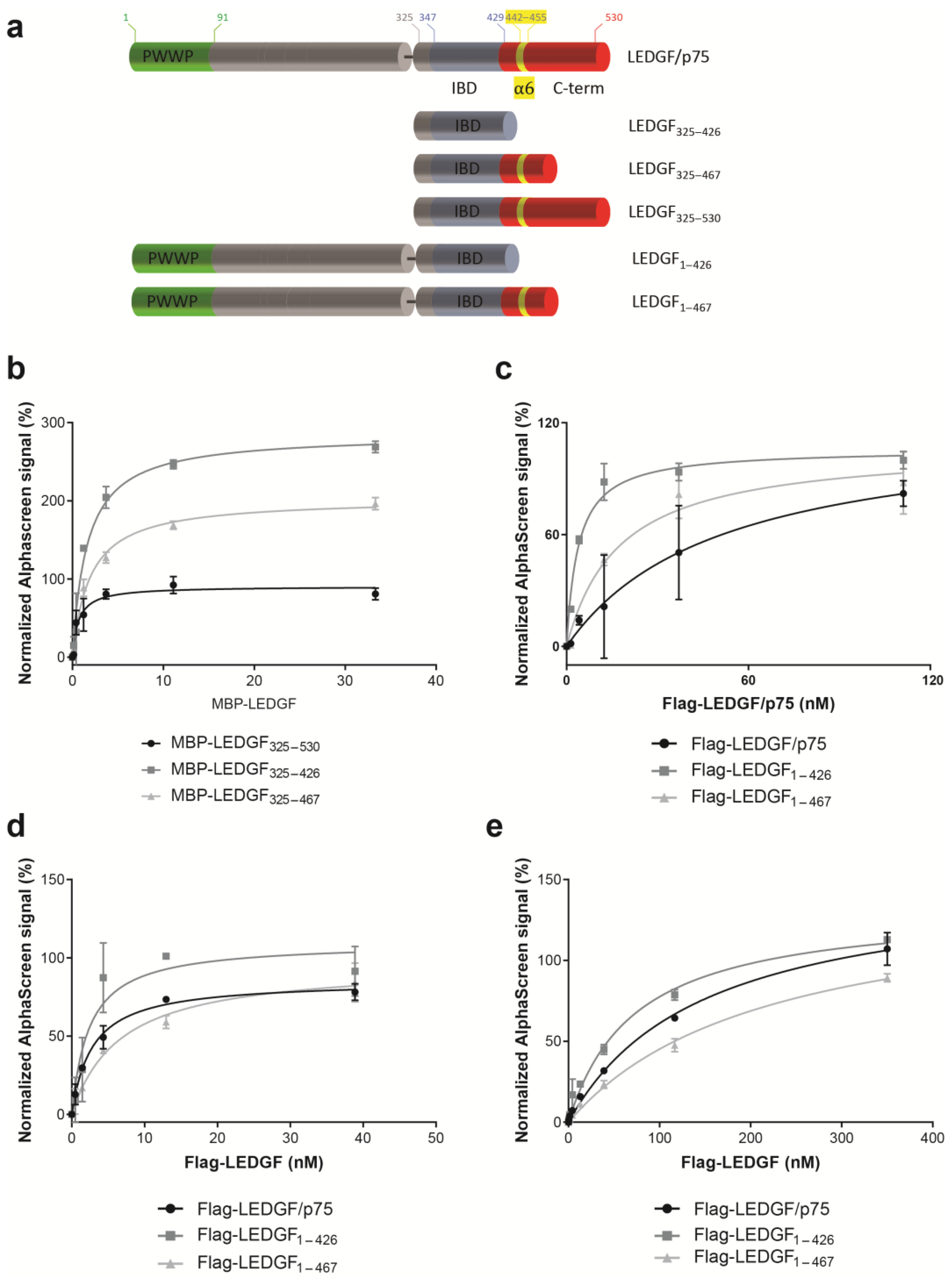 Cells 13 00227 g004 Cells 13 00227 g004