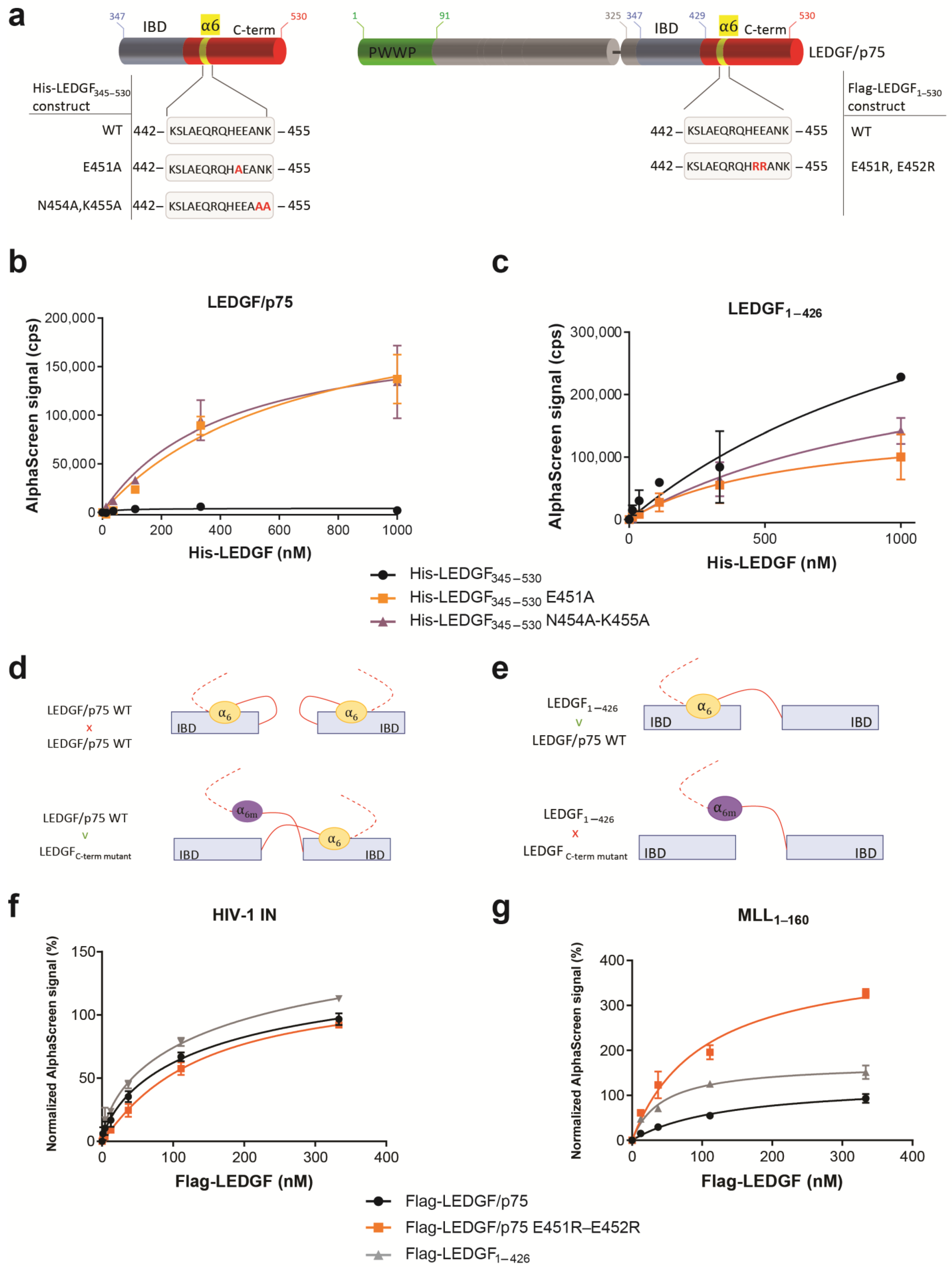 Cells 13 00227 g005 Cells 13 00227 g005