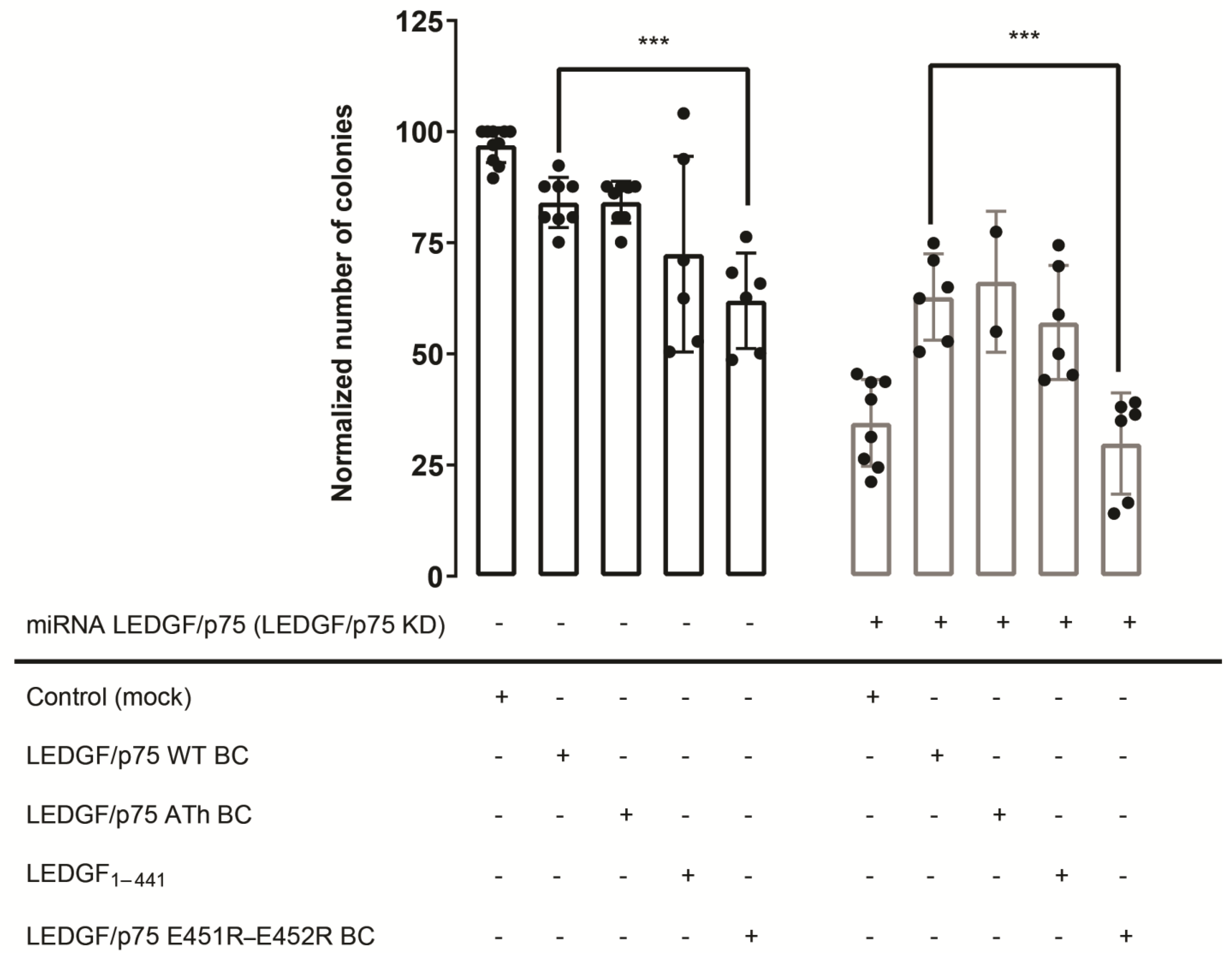 Cells 13 00227 g007 Cells 13 00227 g007