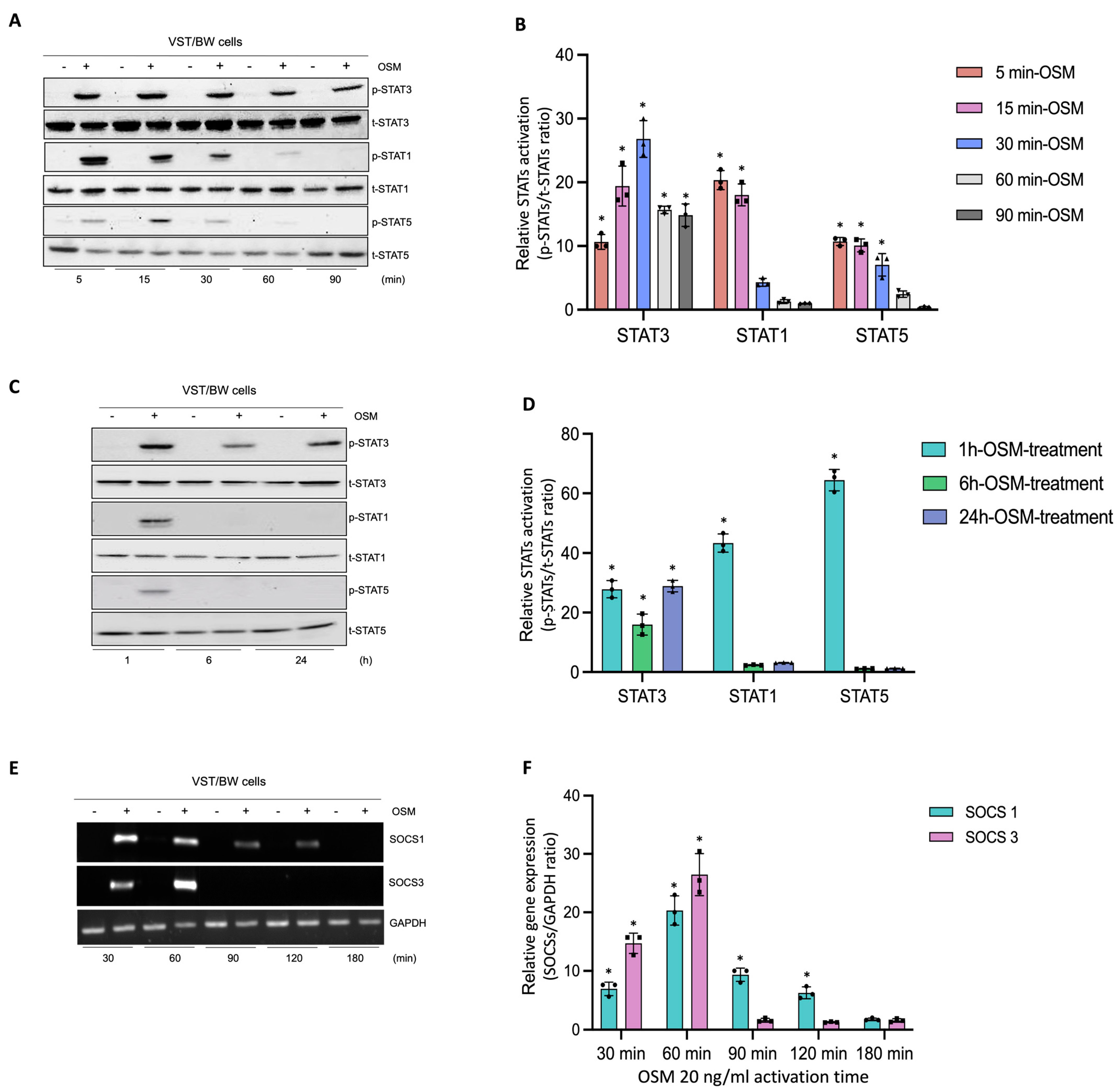 Cells 13 00229 g003 Cells 13 00229 g003